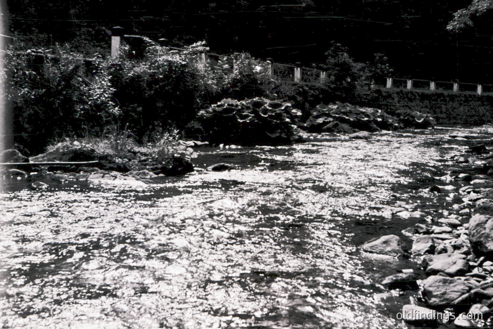 Vintage photograph