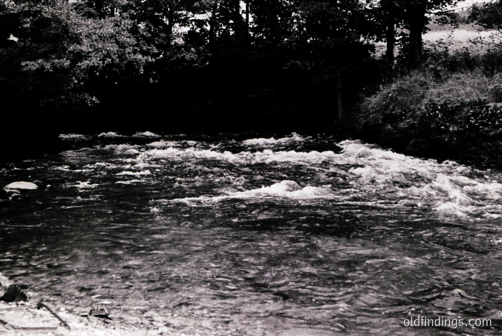 Vintage photograph
