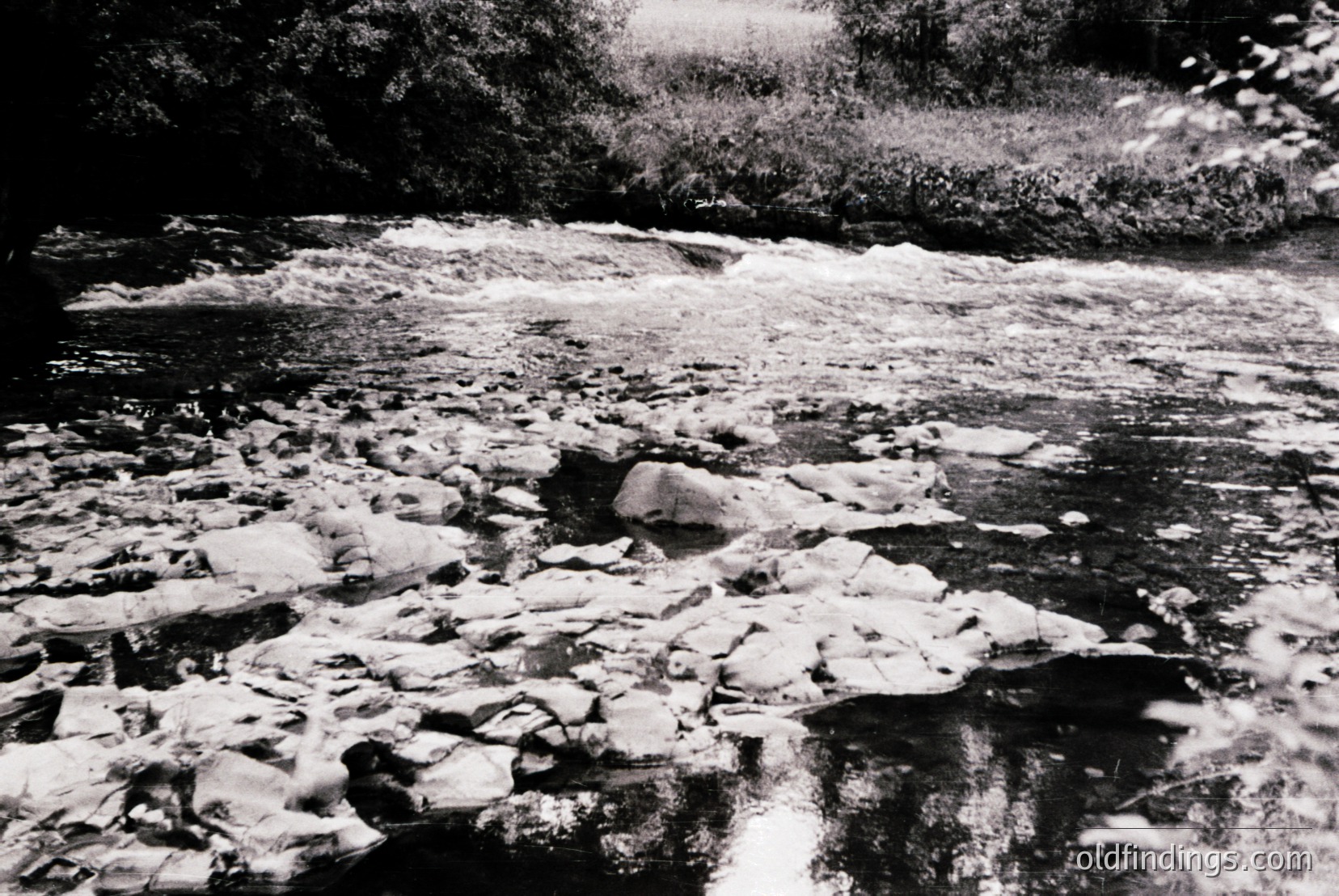 Vintage photograph