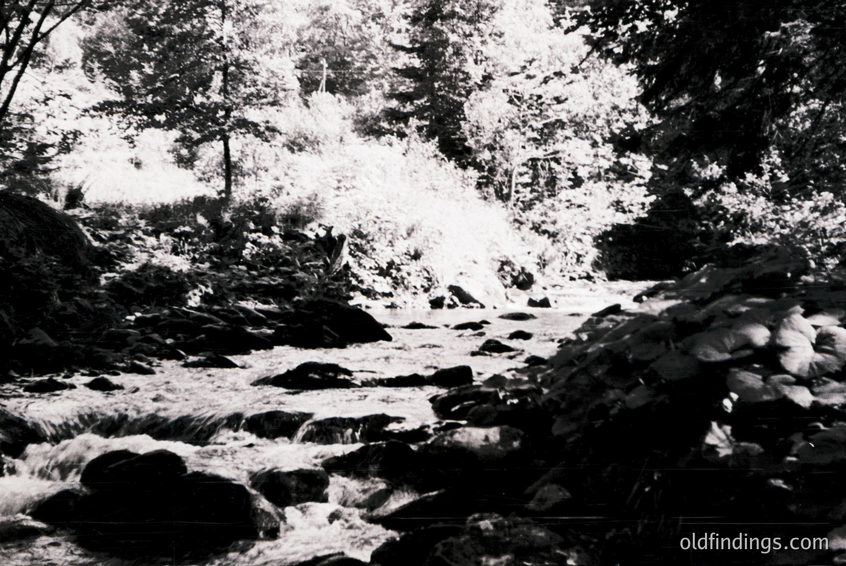 Vintage photograph