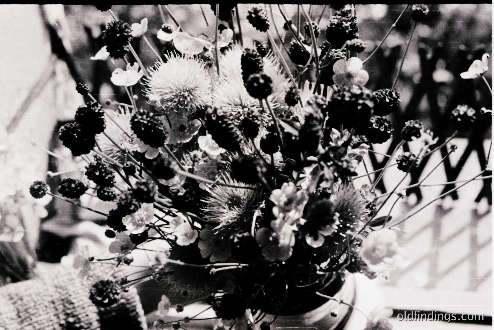 Vintage photograph