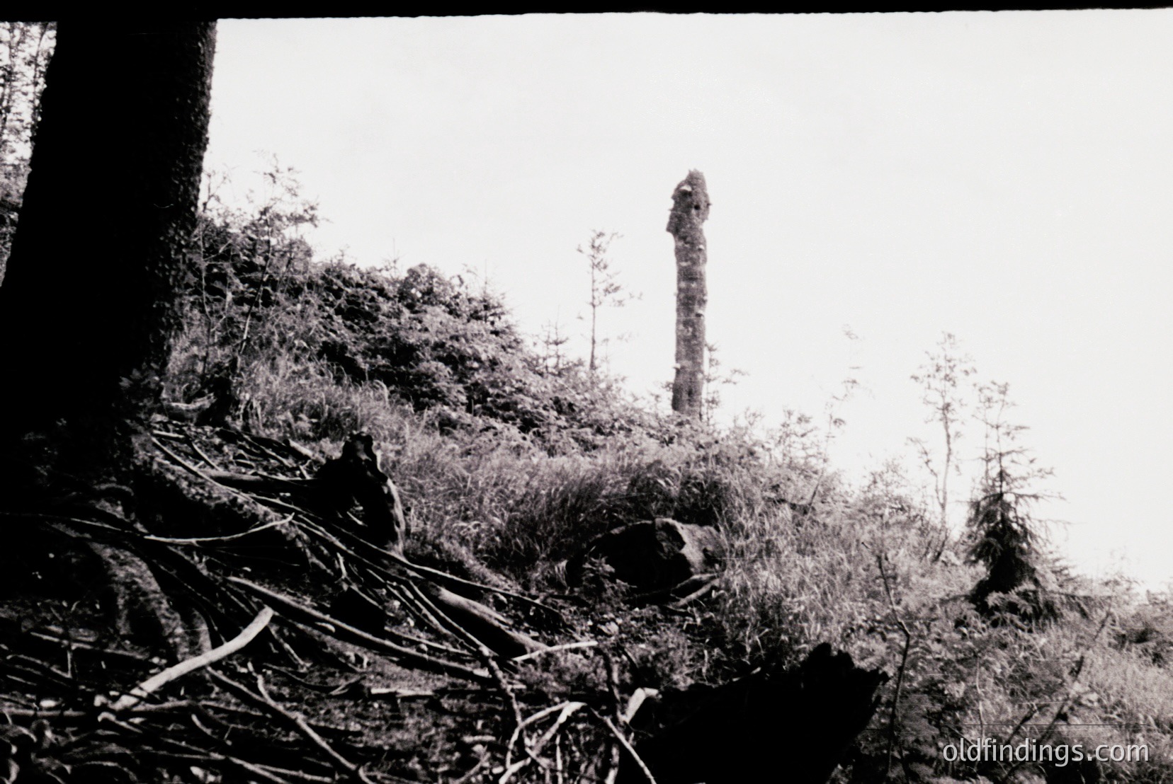 Vintage photograph