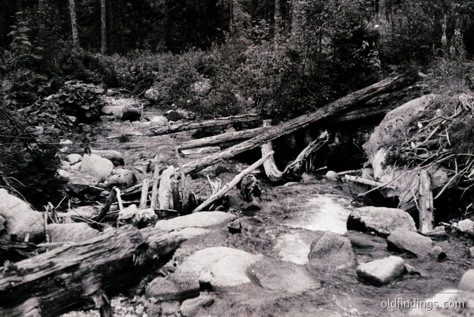 Vintage photograph