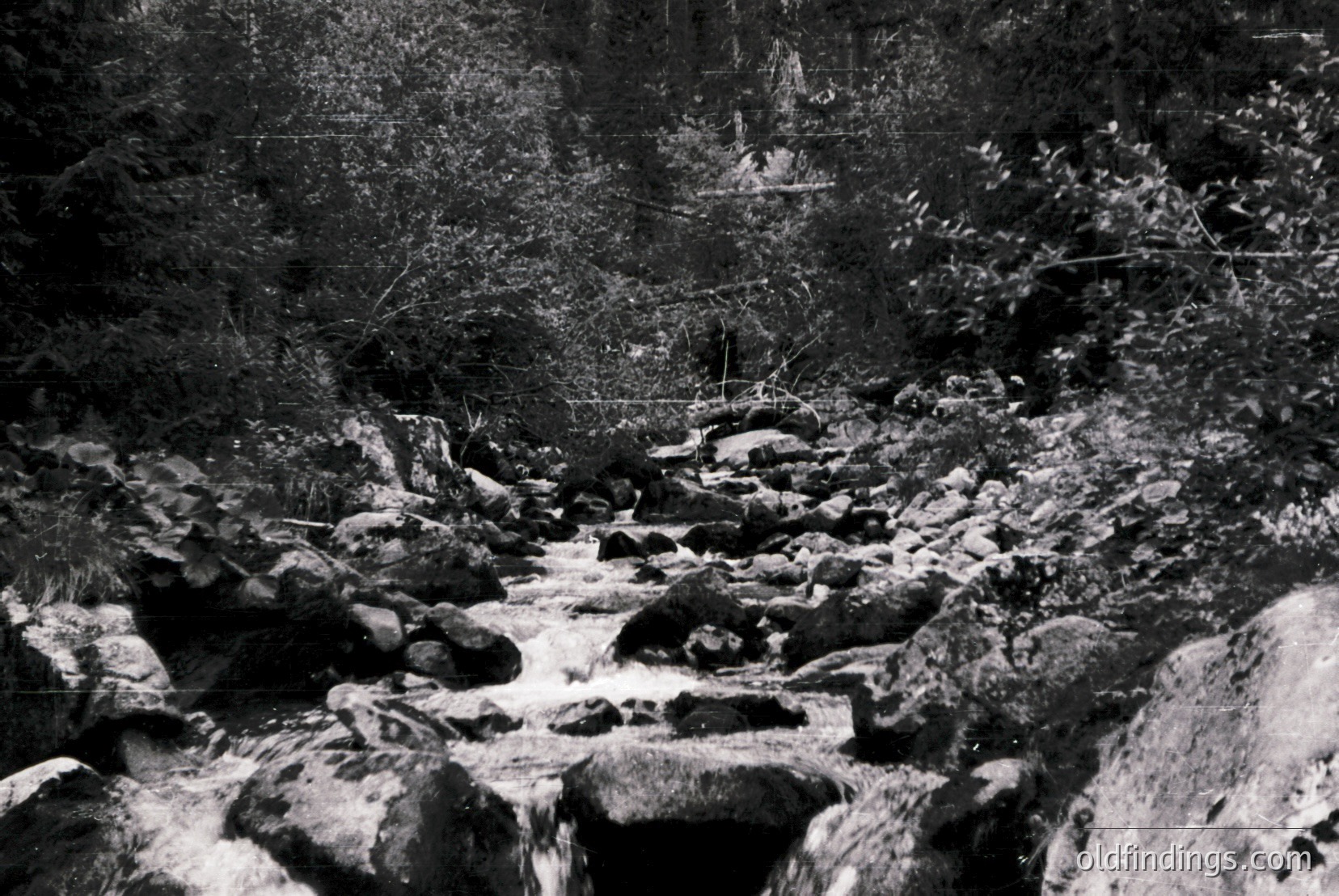 Vintage photograph