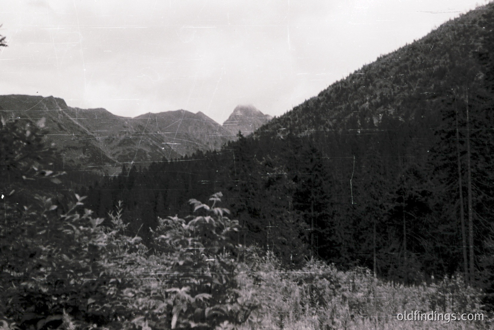 Vintage photograph