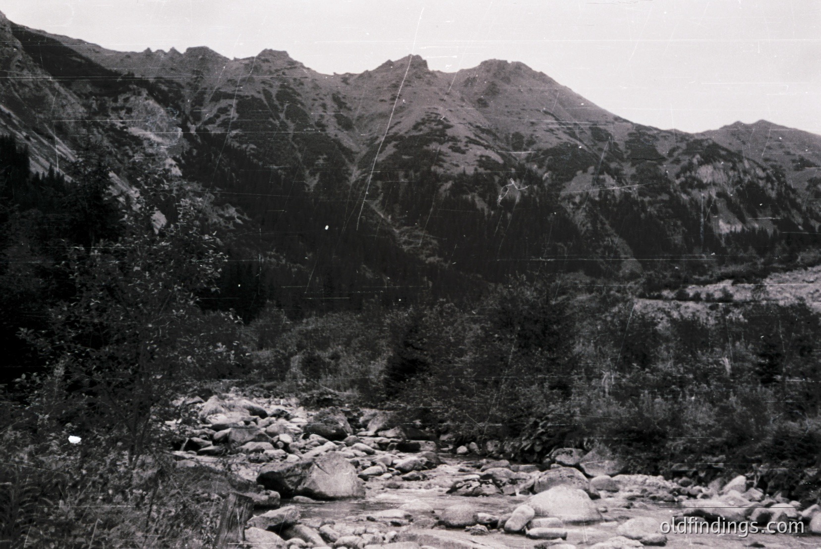 Vintage photograph