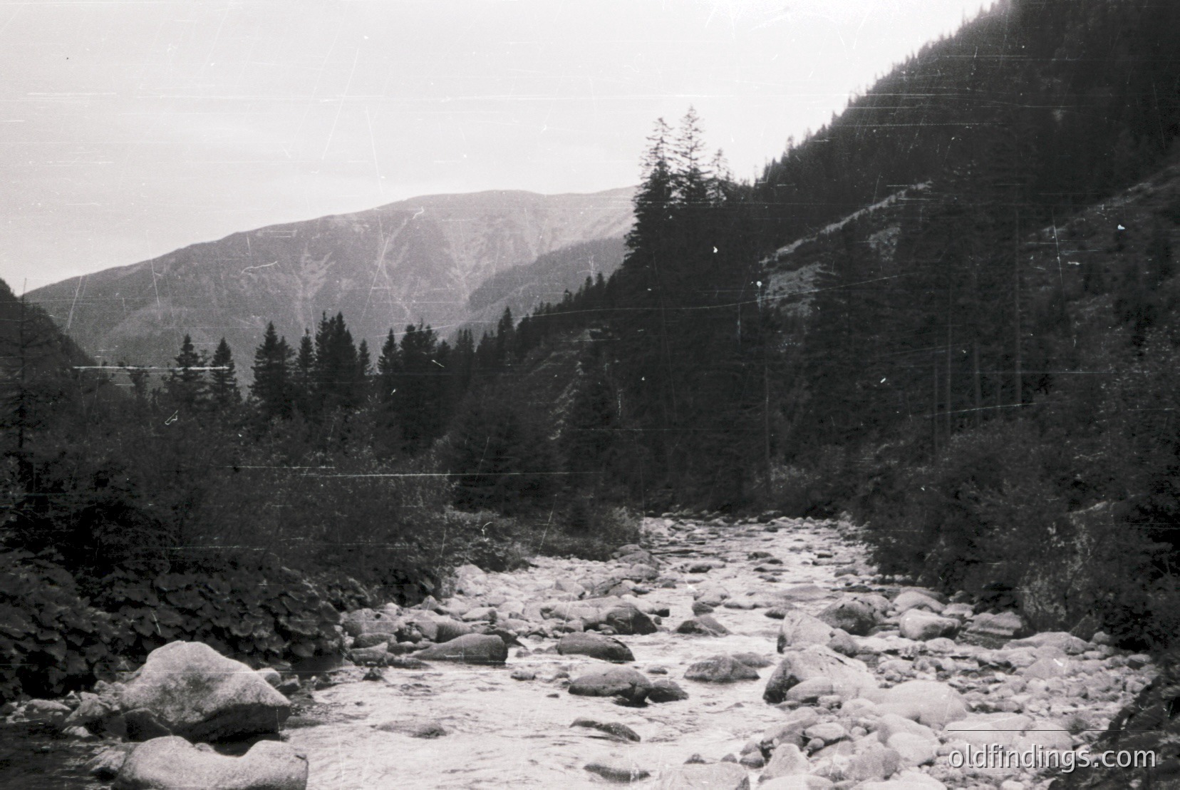Vintage photograph