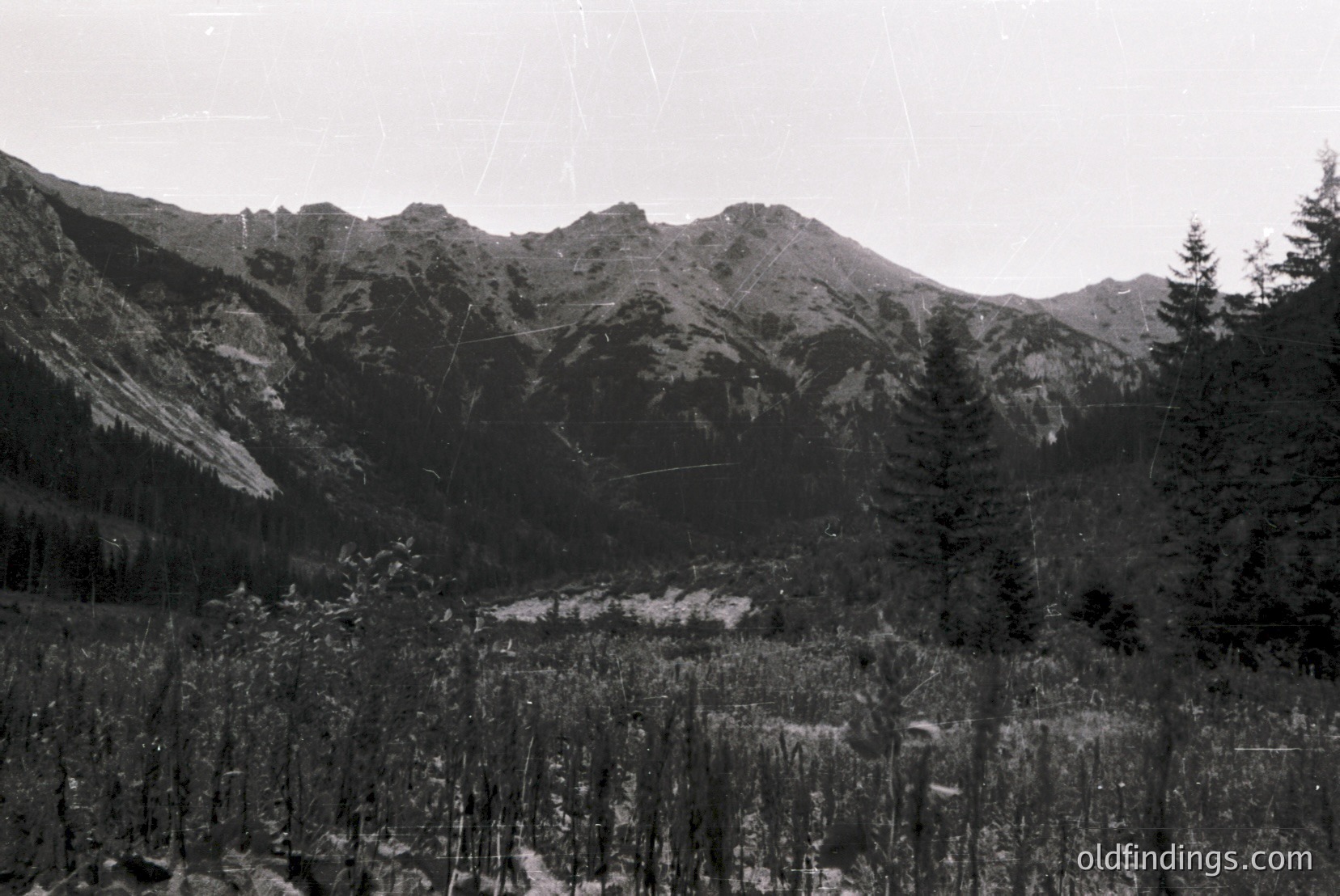 Vintage photograph