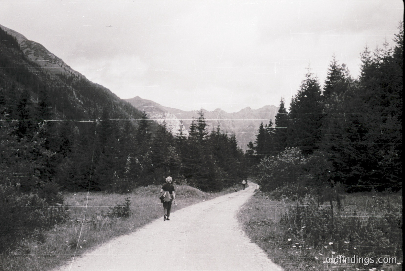 Vintage photograph