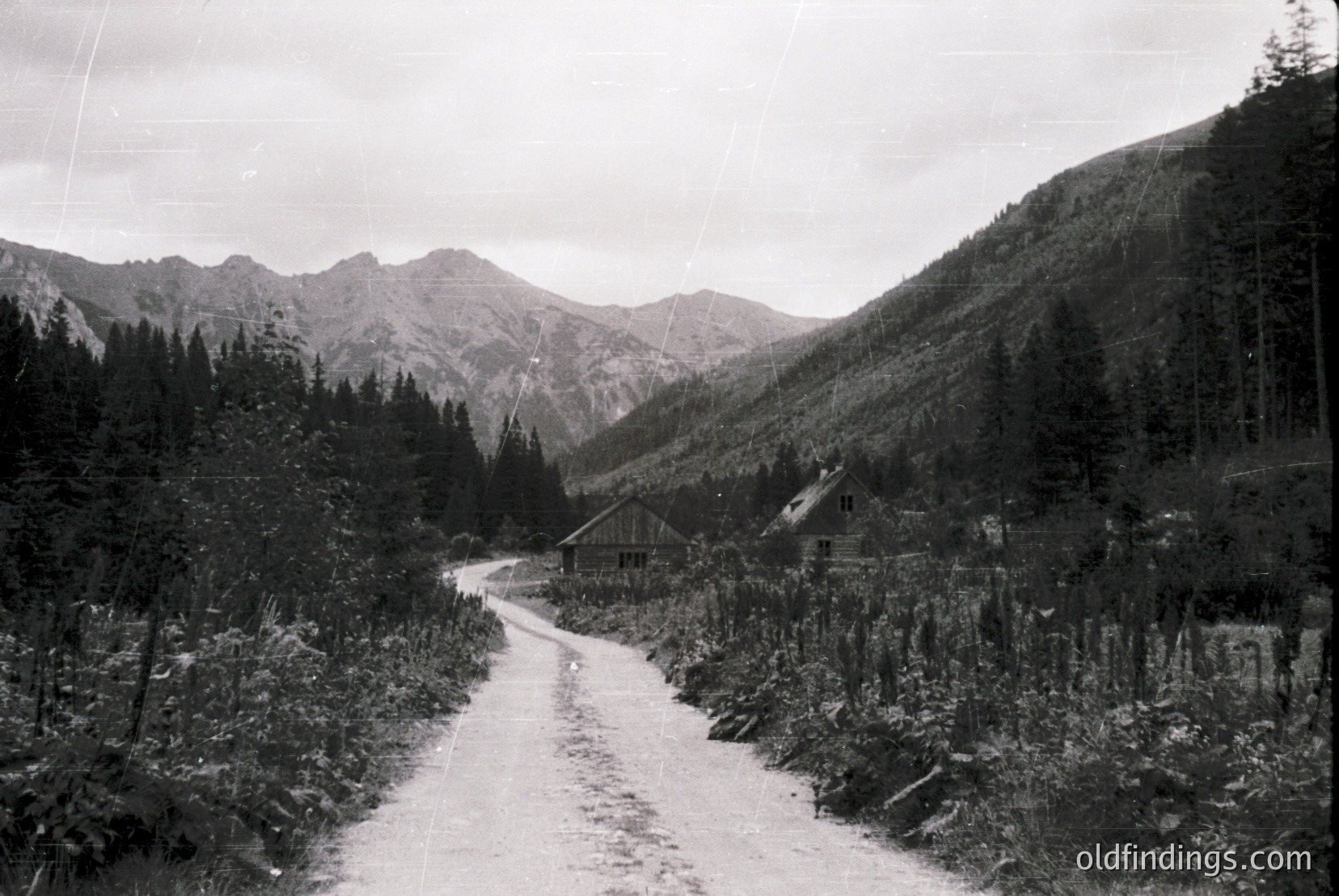 Vintage photograph