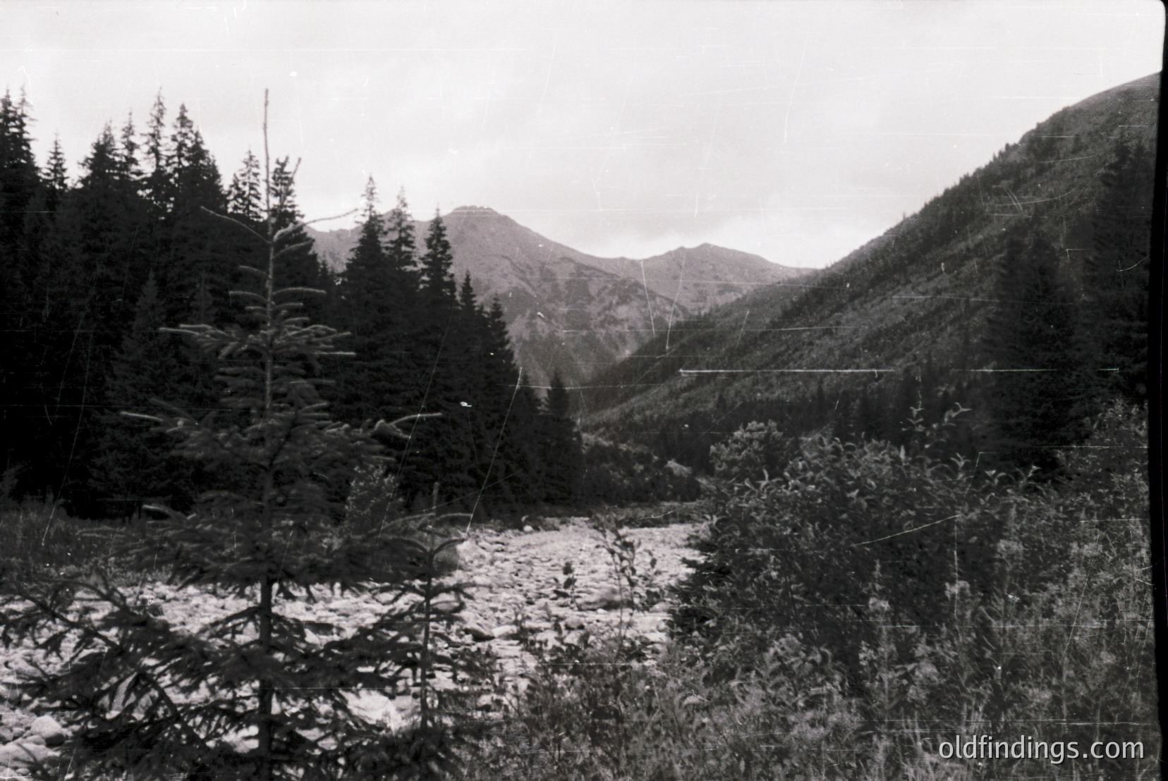 Vintage photograph