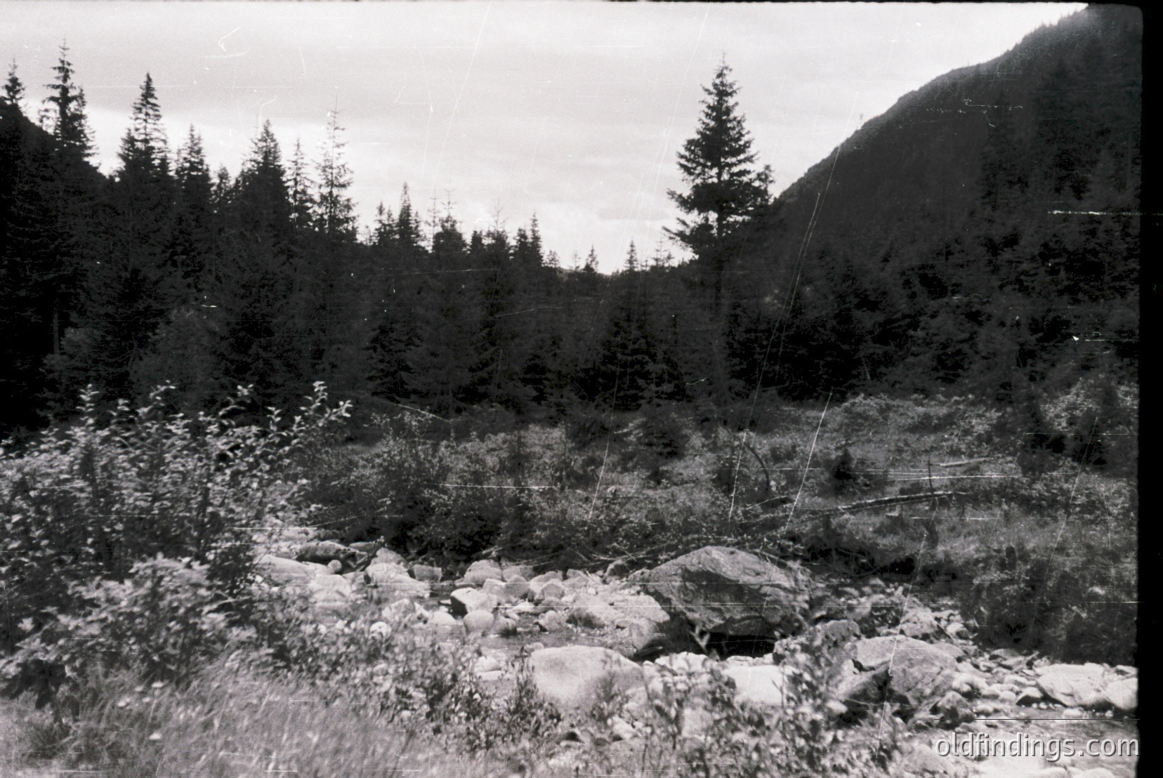 Vintage photograph