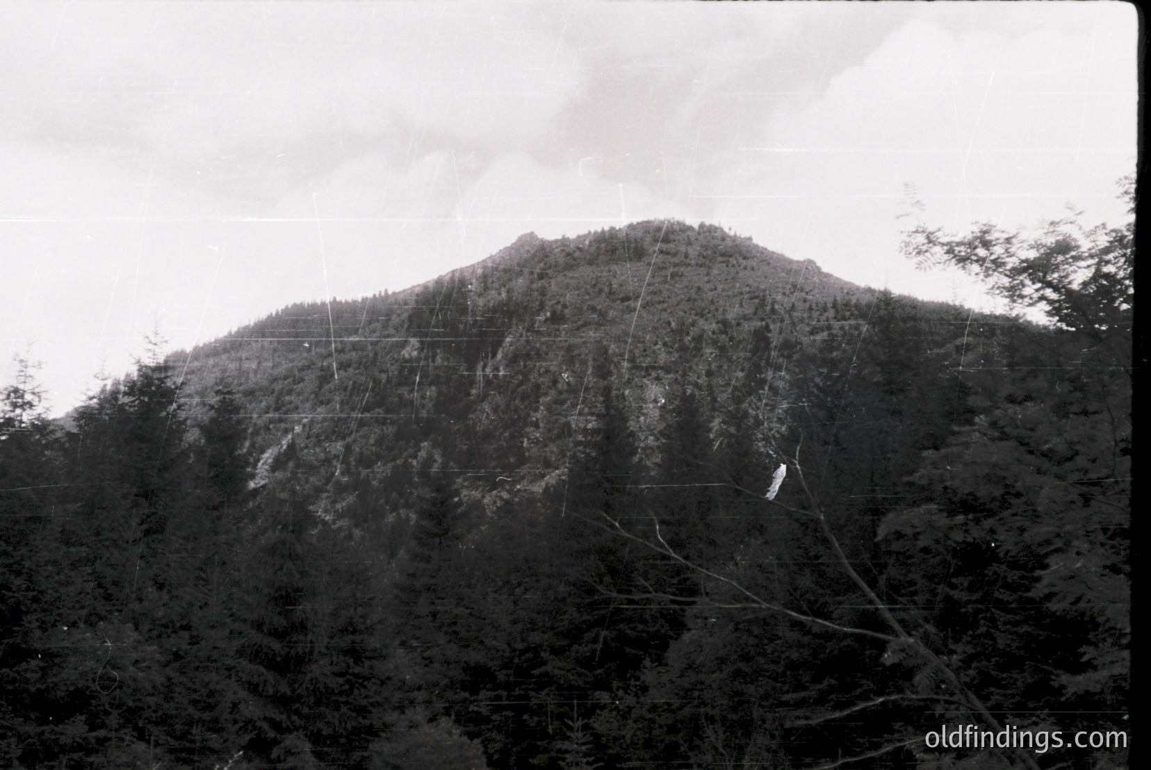 Vintage photograph