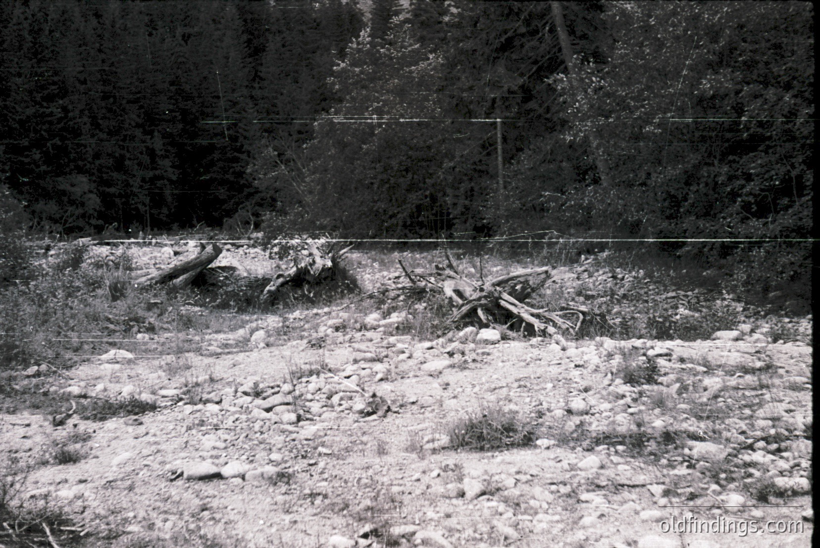 Vintage photograph