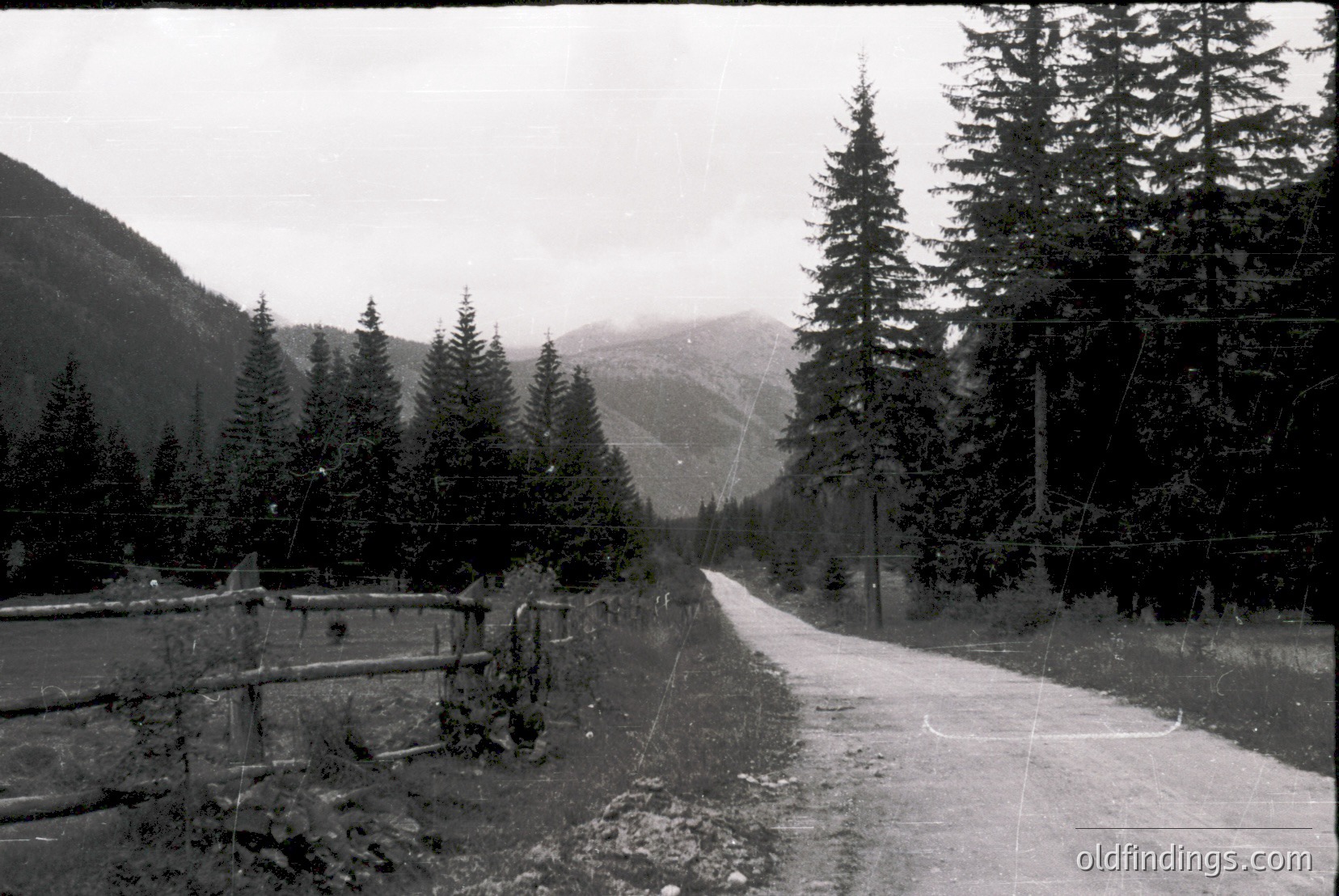 Vintage photograph