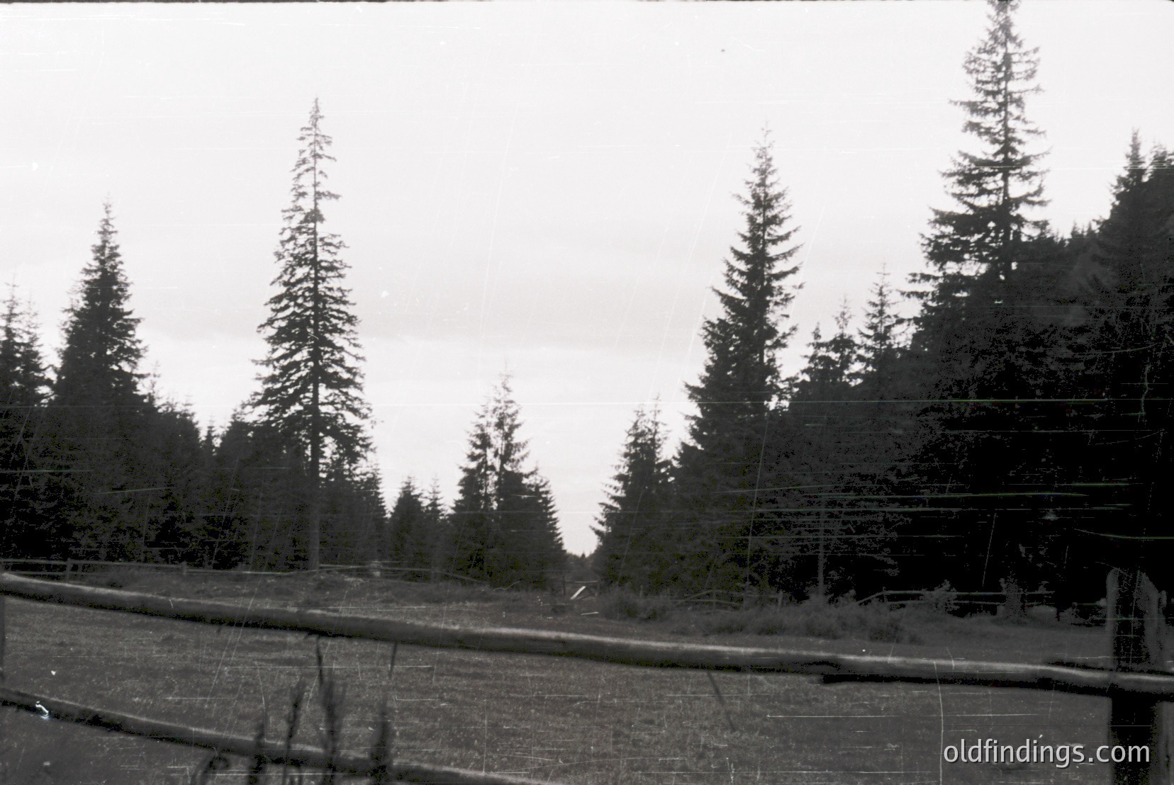 Vintage photograph