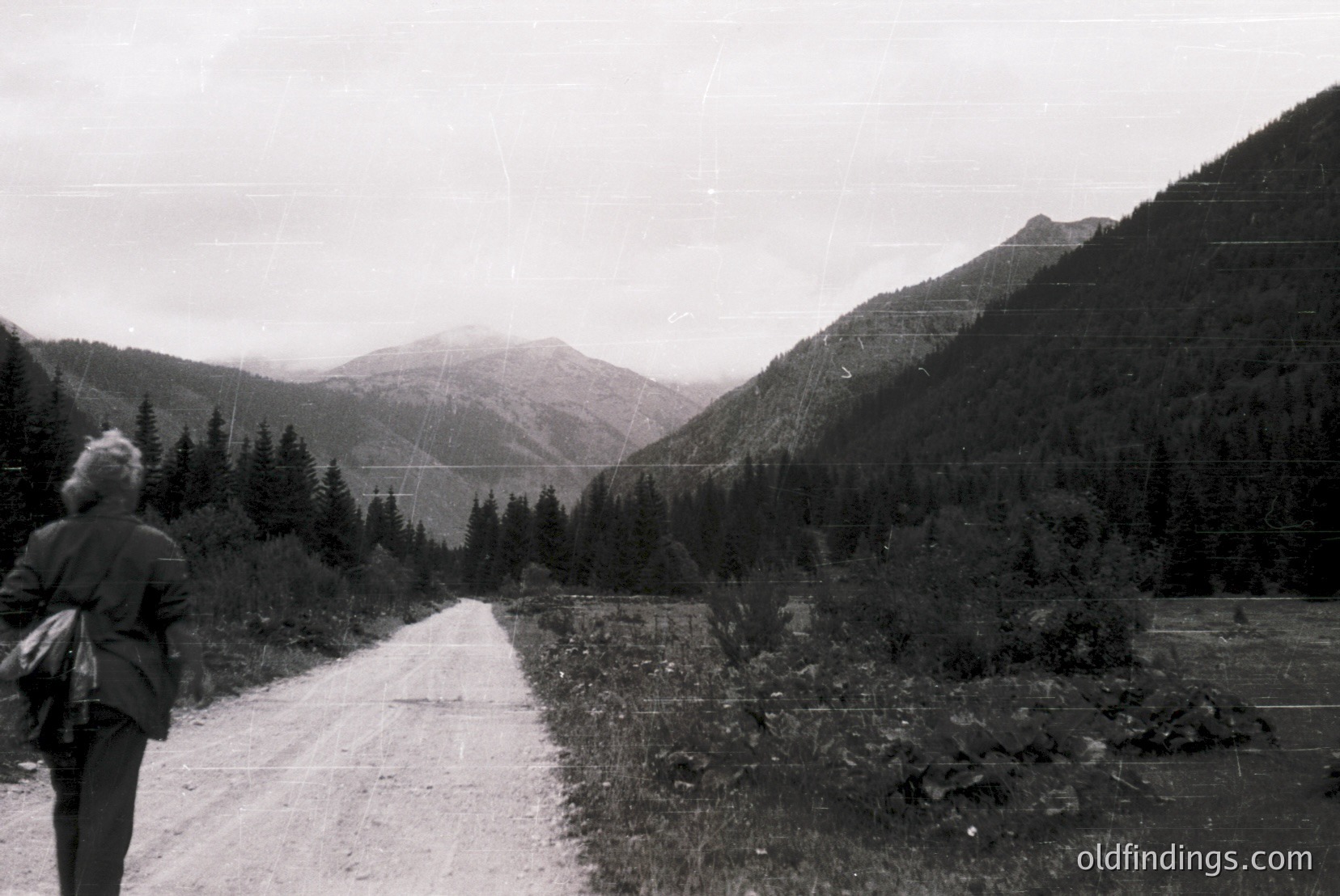 Vintage photograph