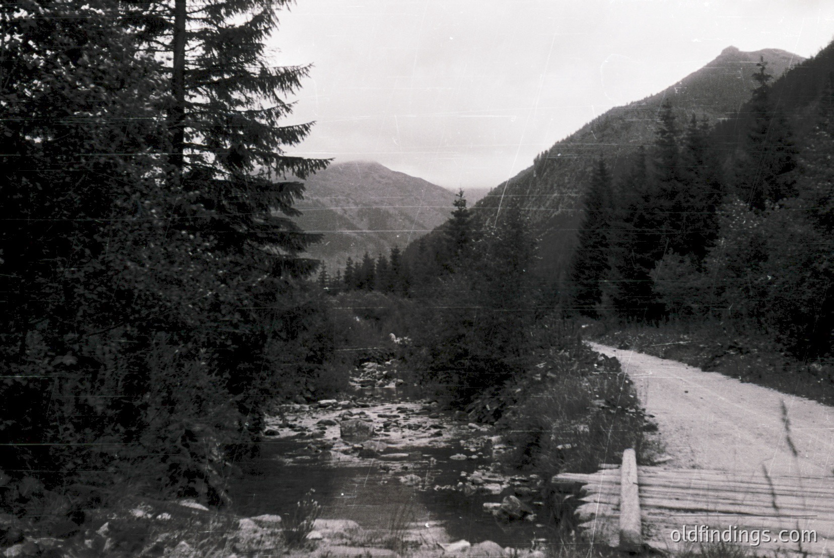 Vintage photograph