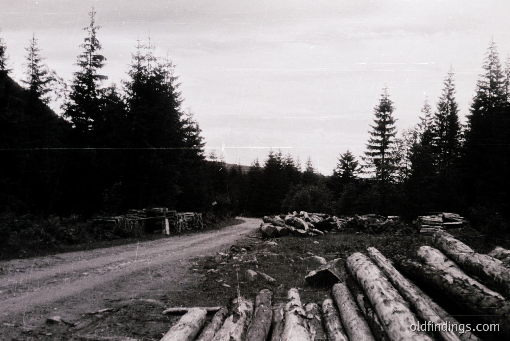 Vintage photograph