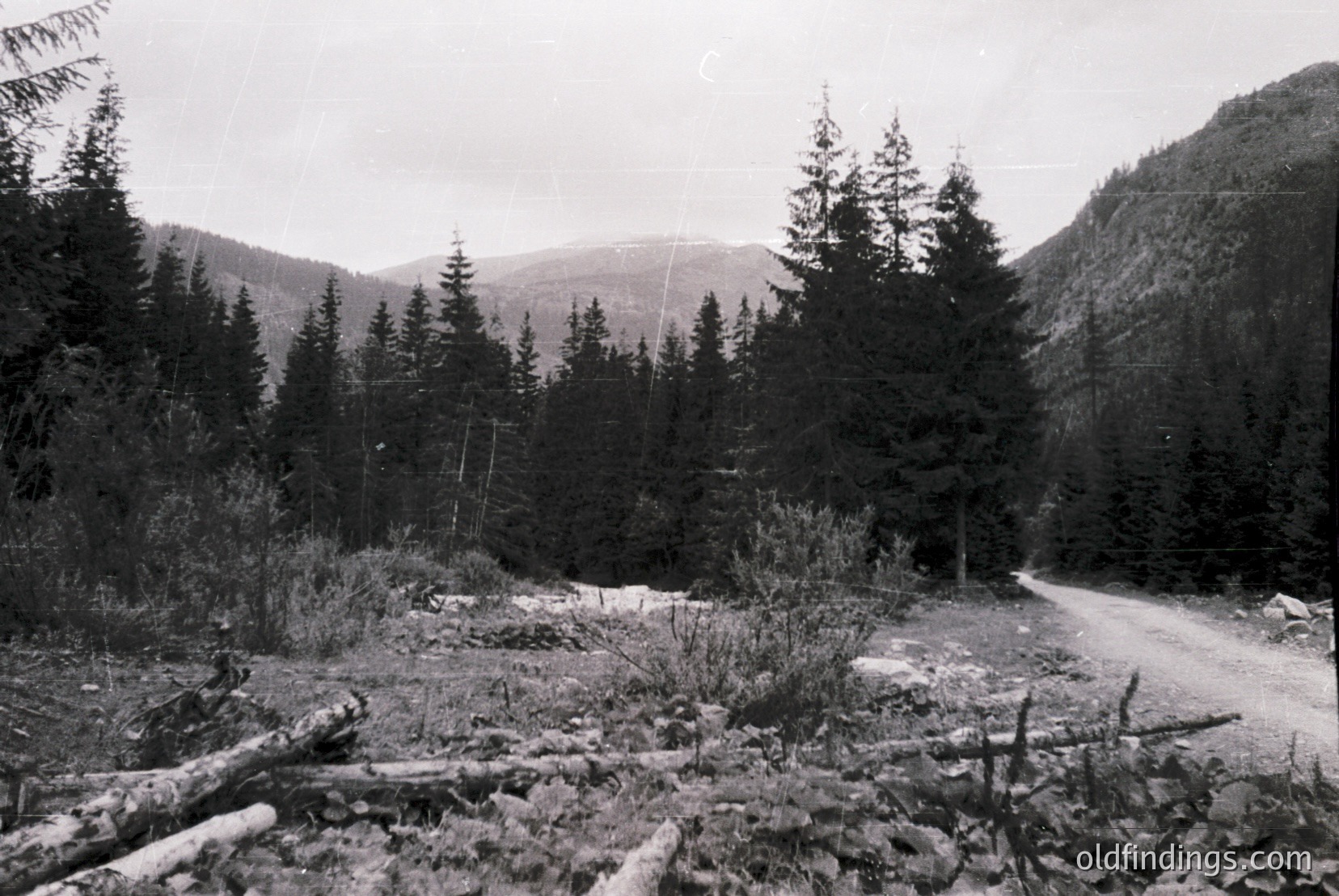 Vintage photograph