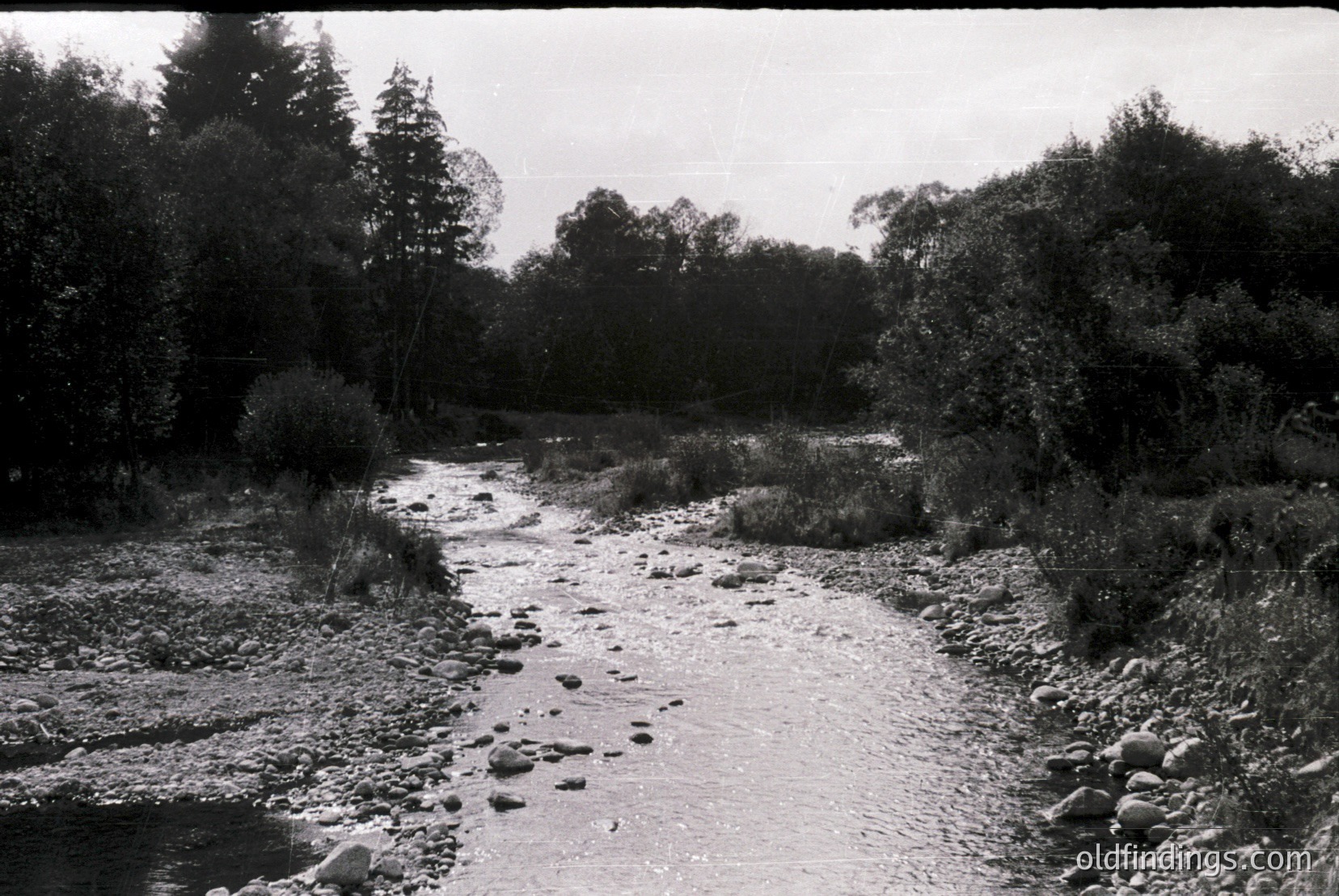 Vintage photograph