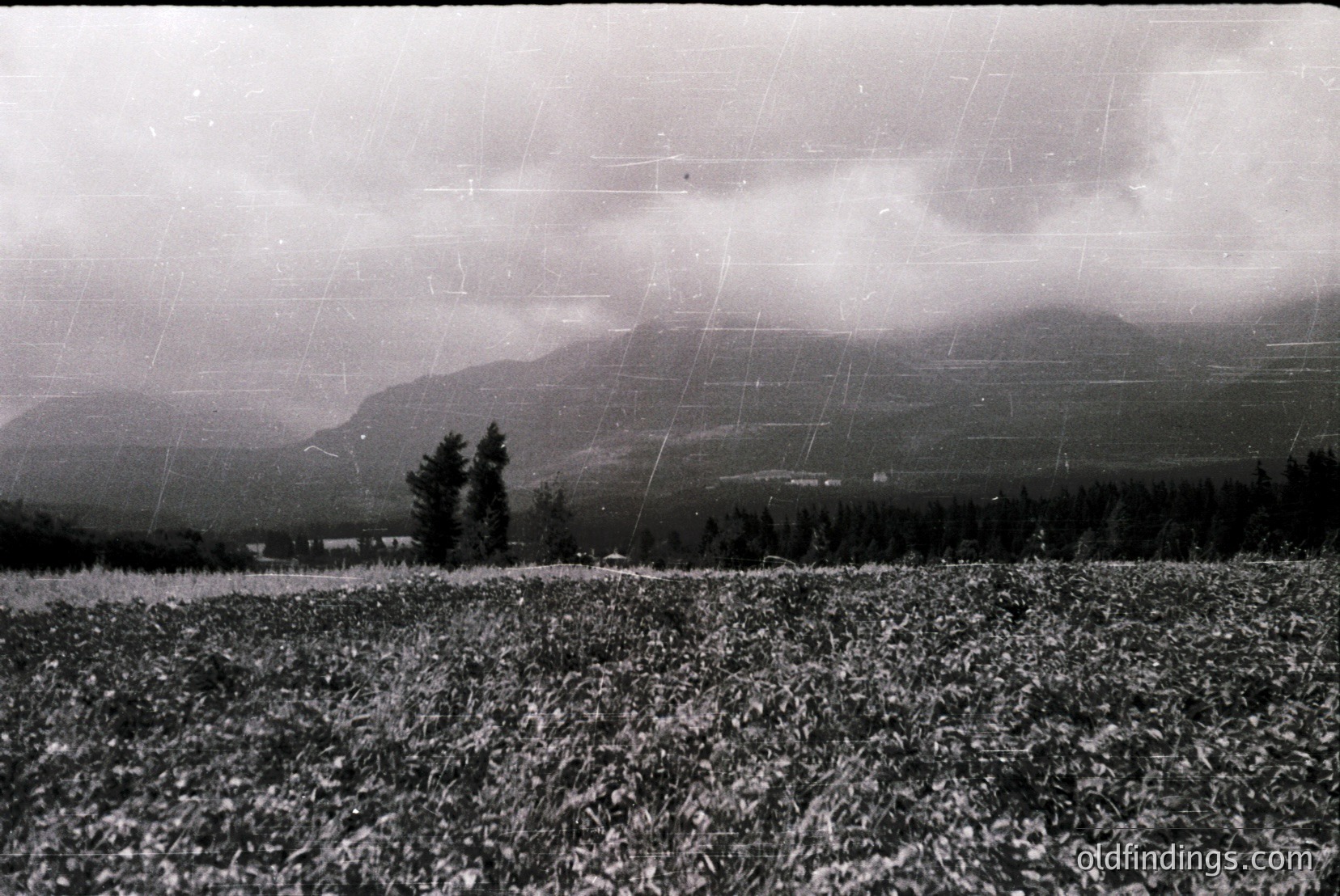 Vintage photograph