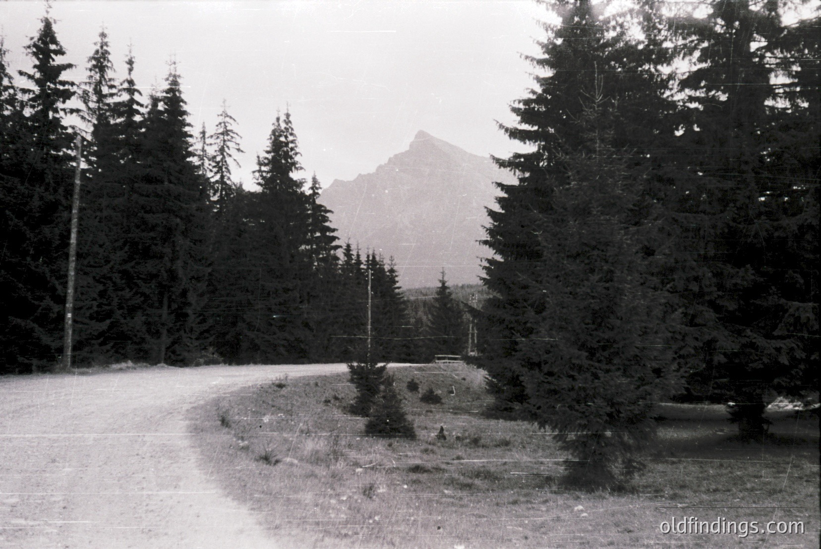 Vintage photograph