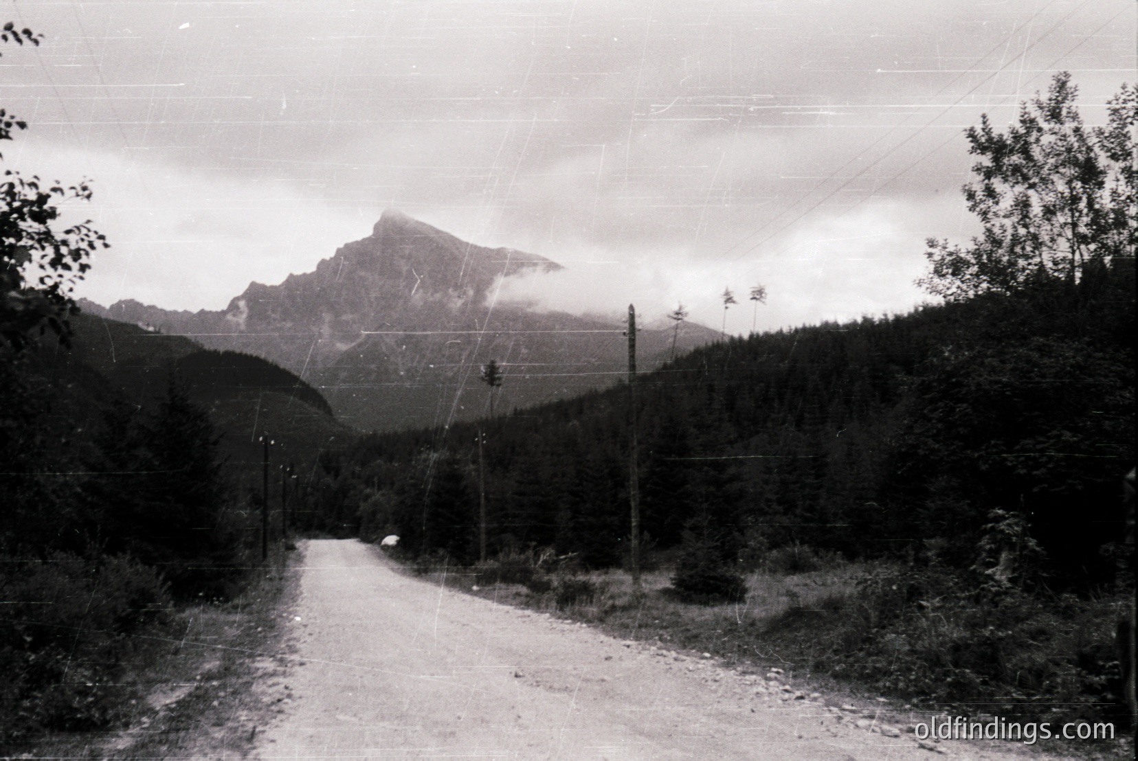 Vintage photograph