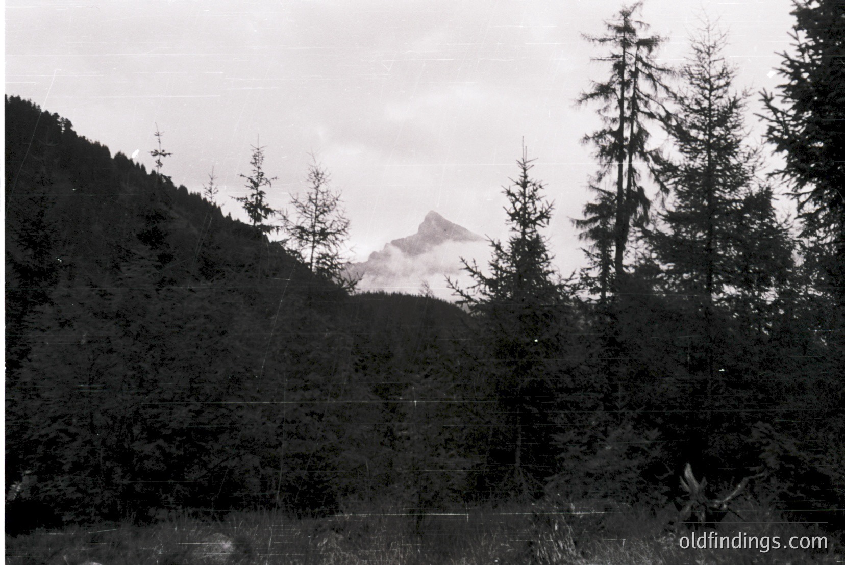 Vintage photograph