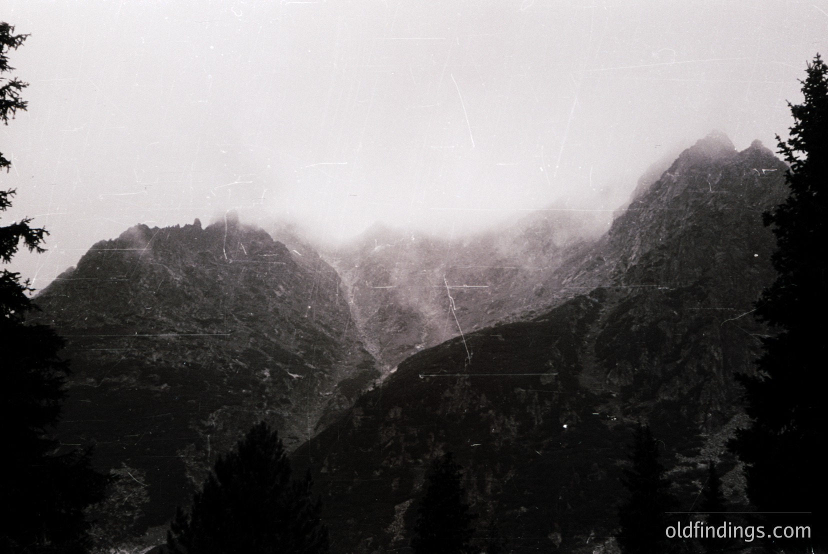 Vintage photograph