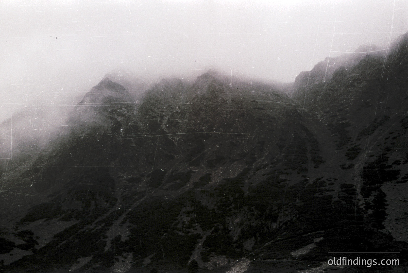 Vintage photograph