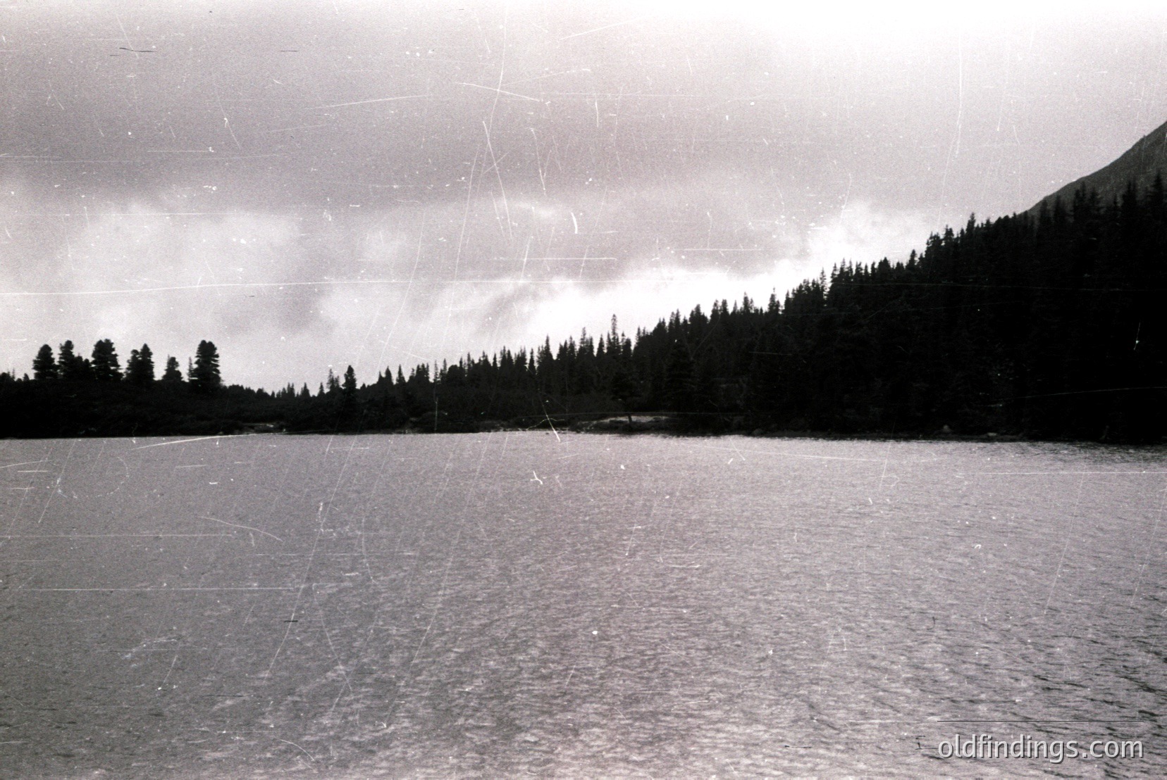 Vintage photograph