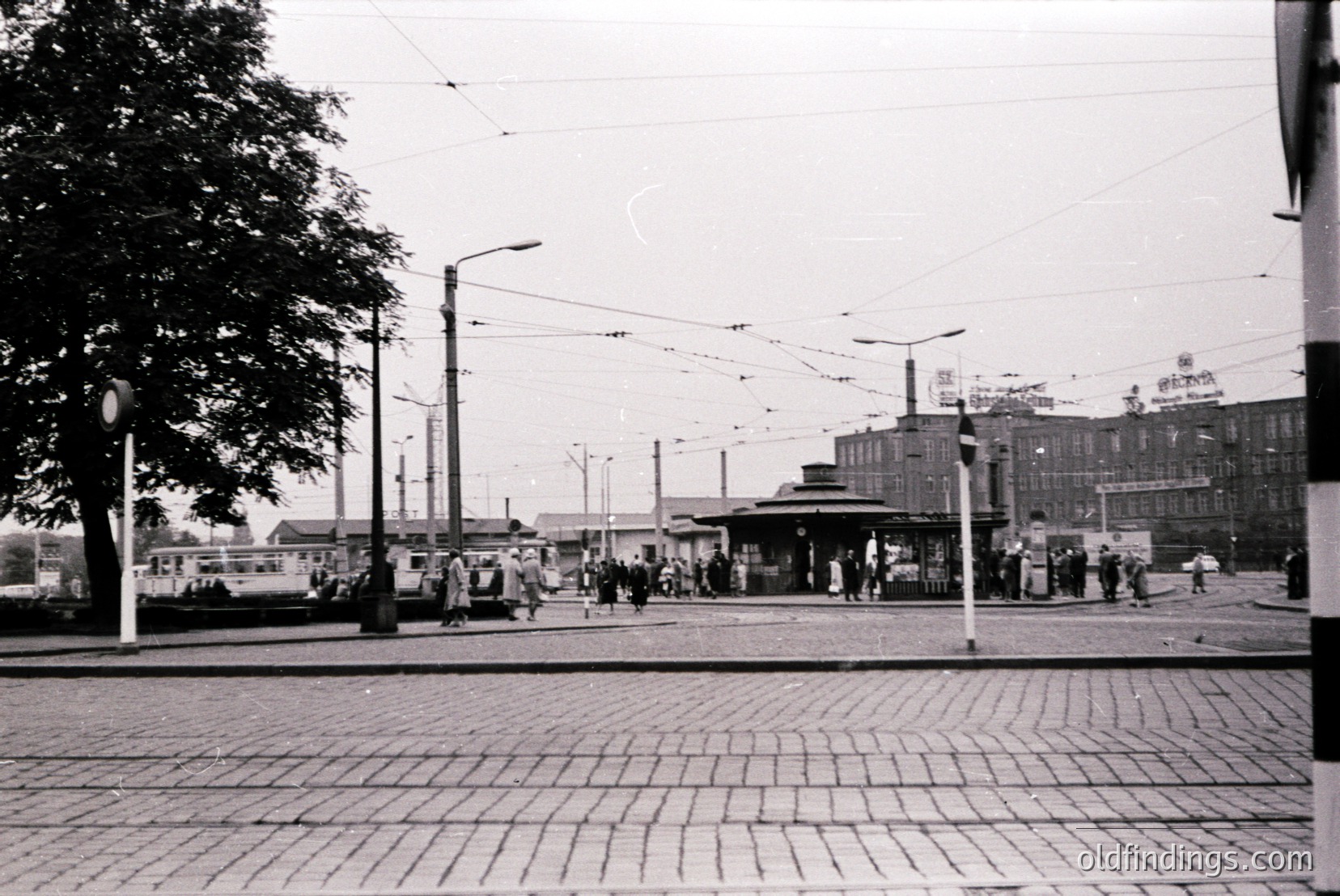 Vintage photograph