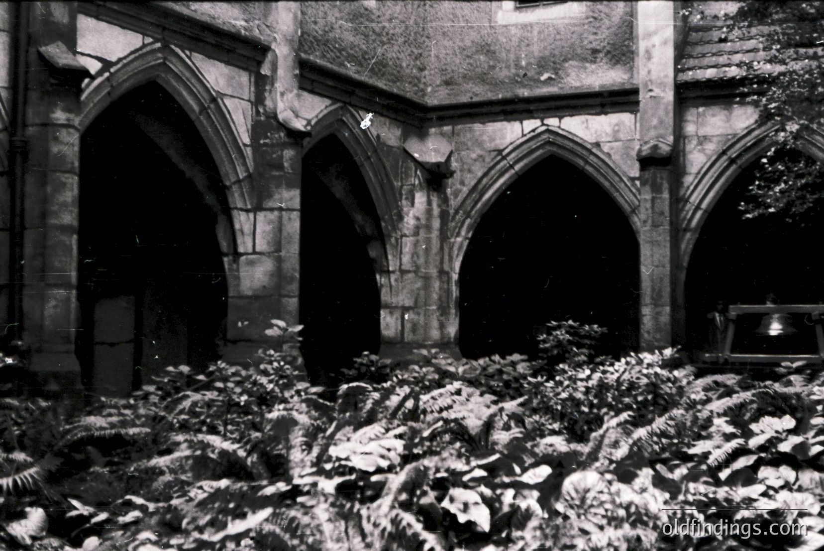 Vintage photograph