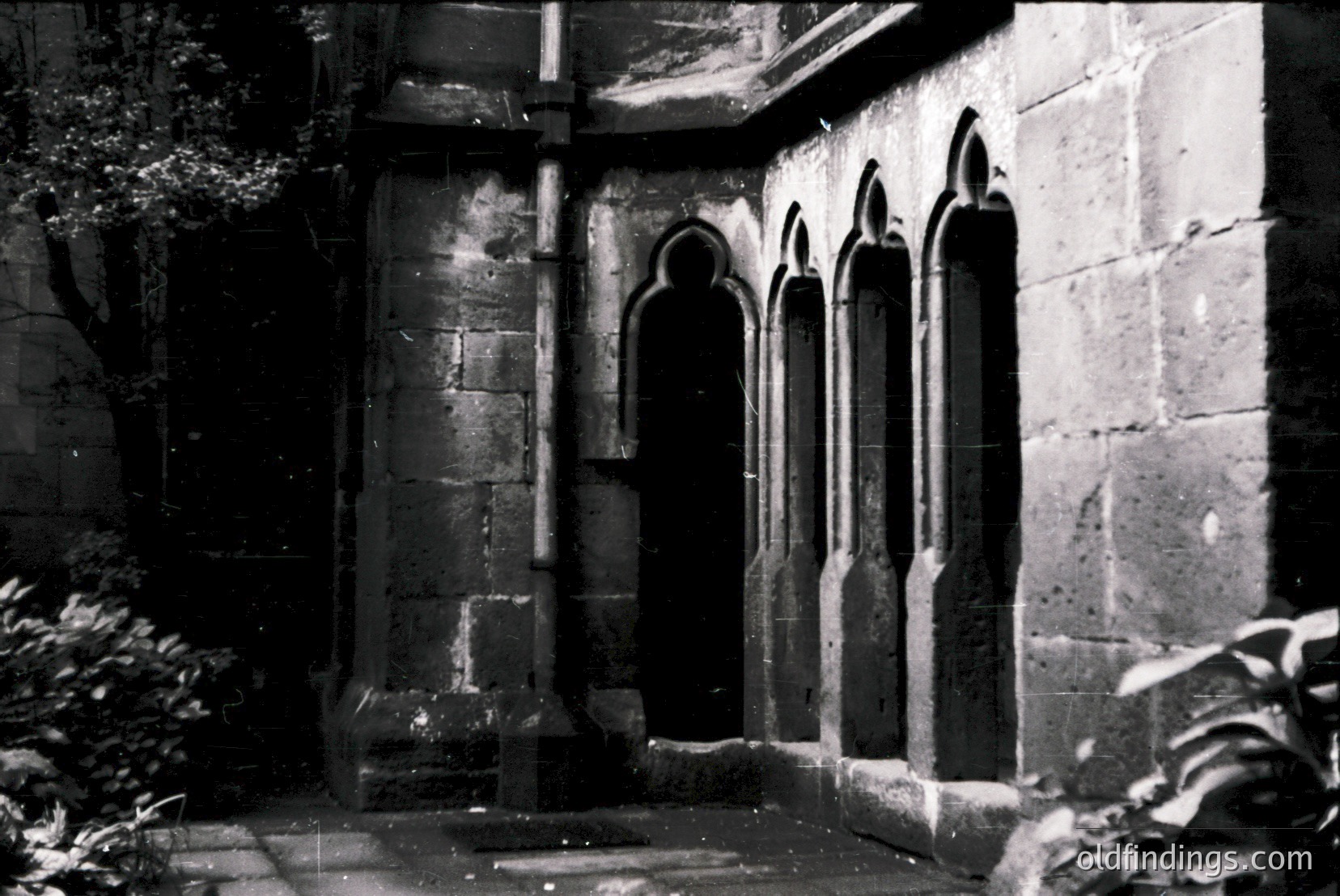 Vintage photograph