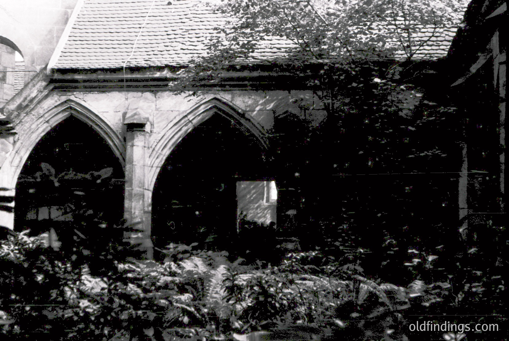 Vintage photograph