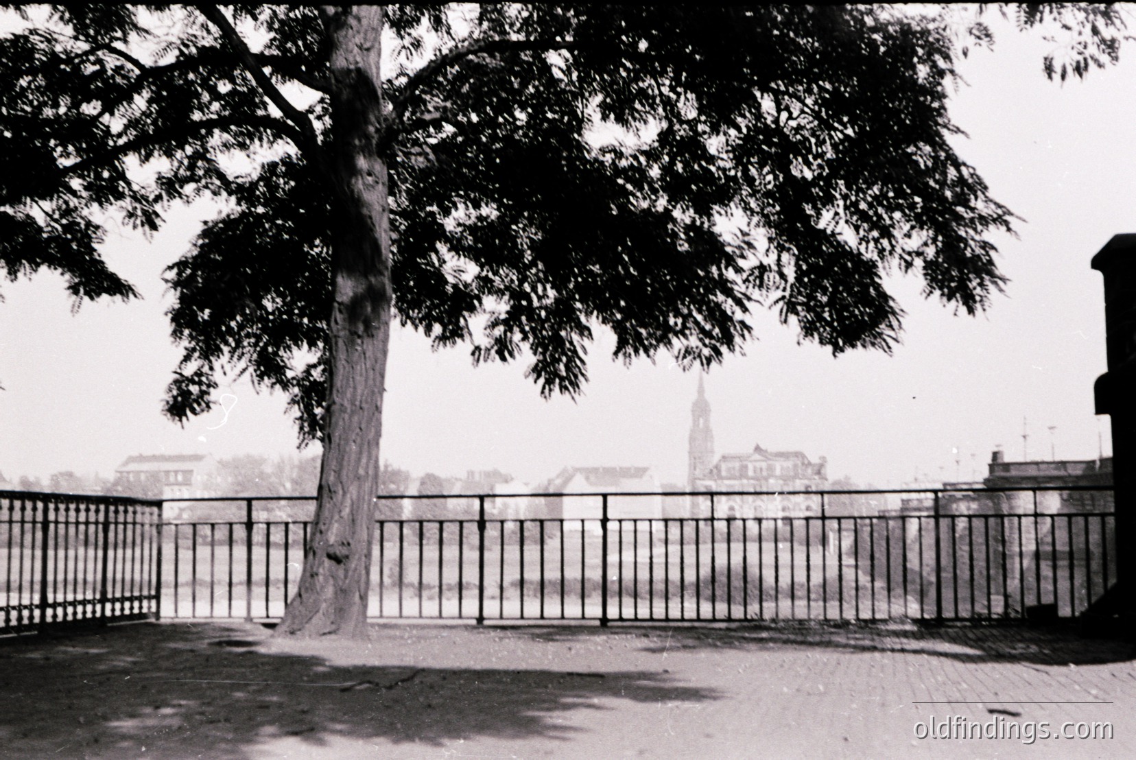 Vintage photograph