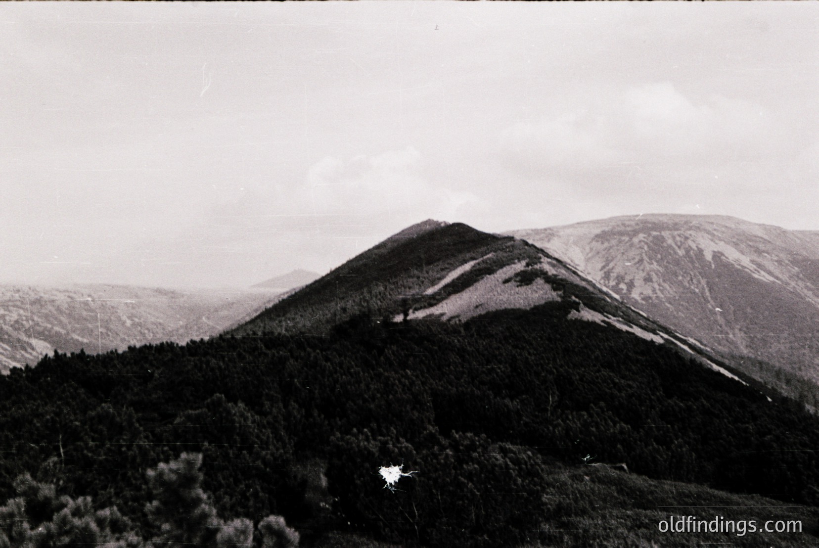 Vintage photograph