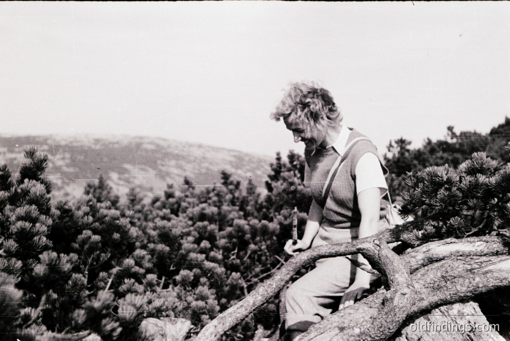 Vintage photograph