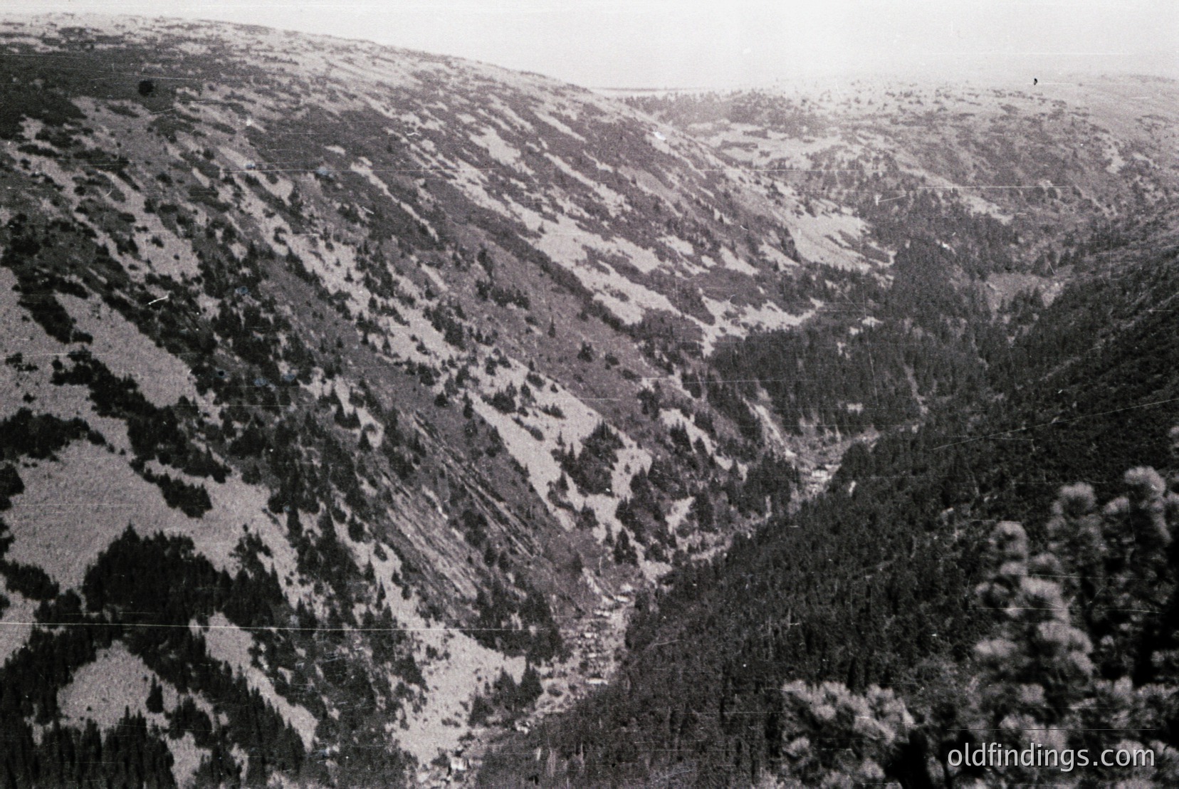 Vintage photograph