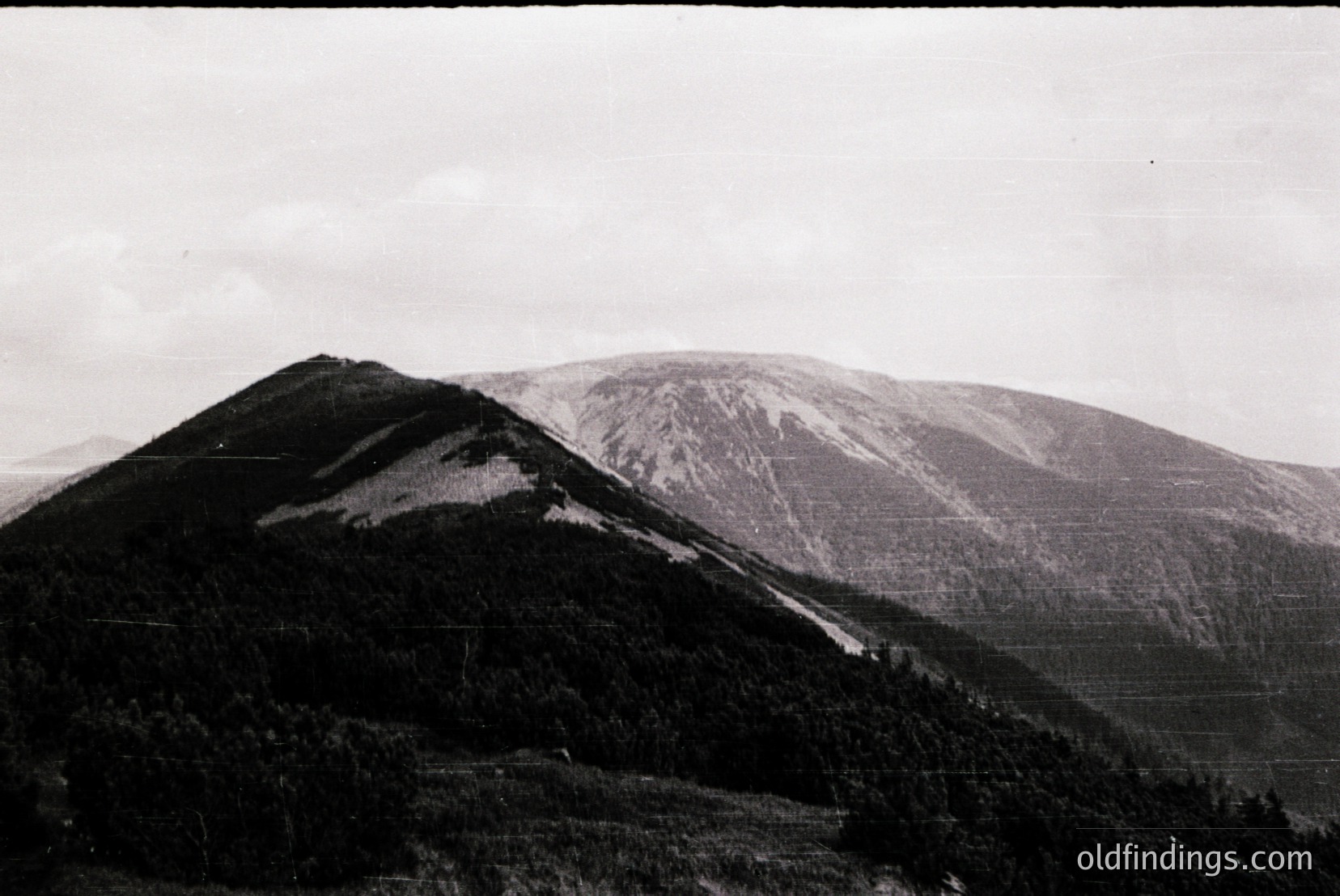Vintage photograph