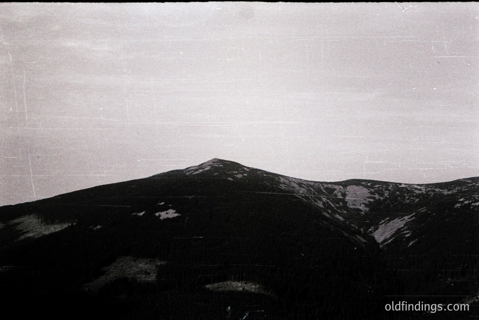 Vintage photograph