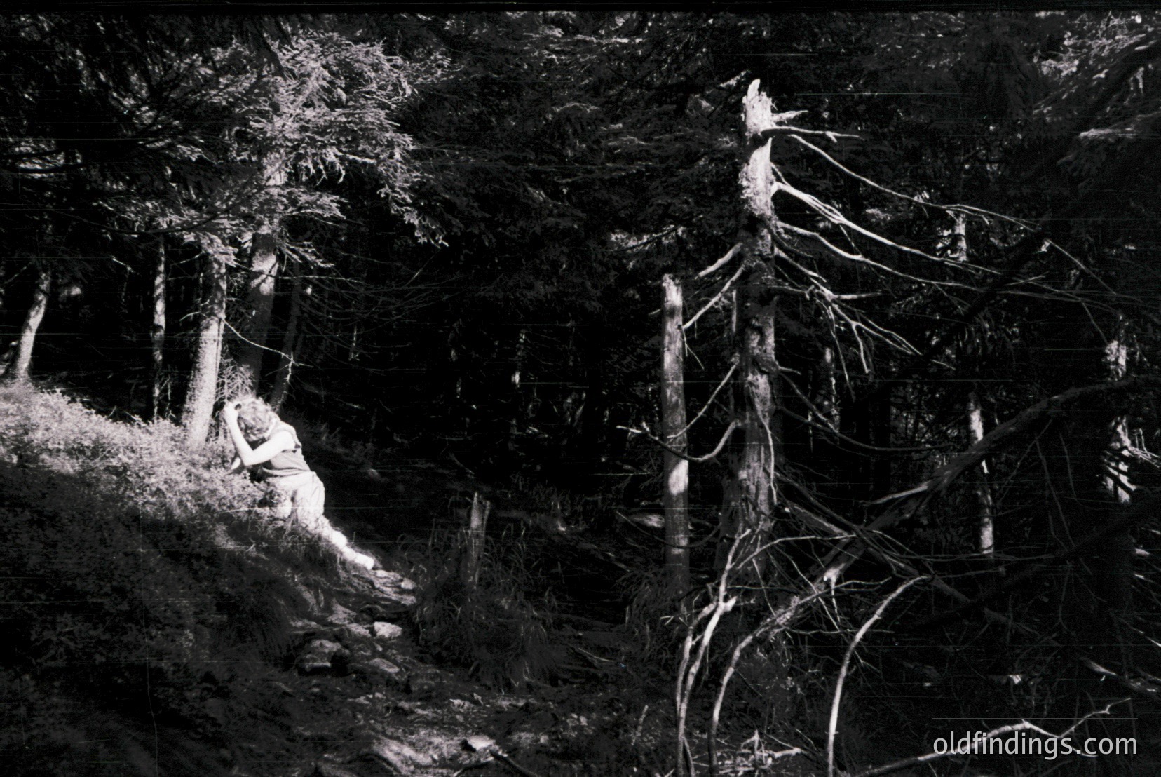 Vintage photograph