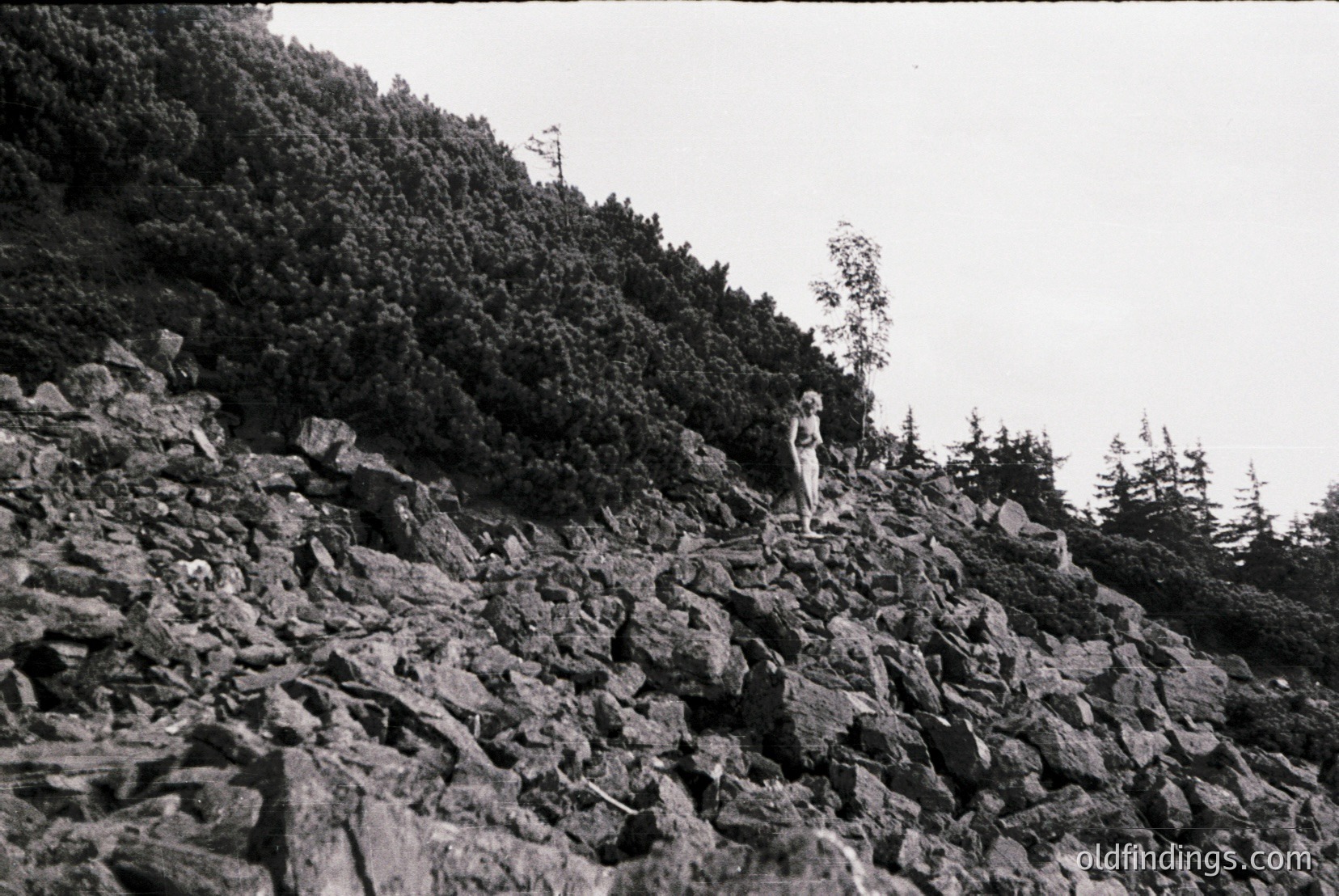 Vintage photograph