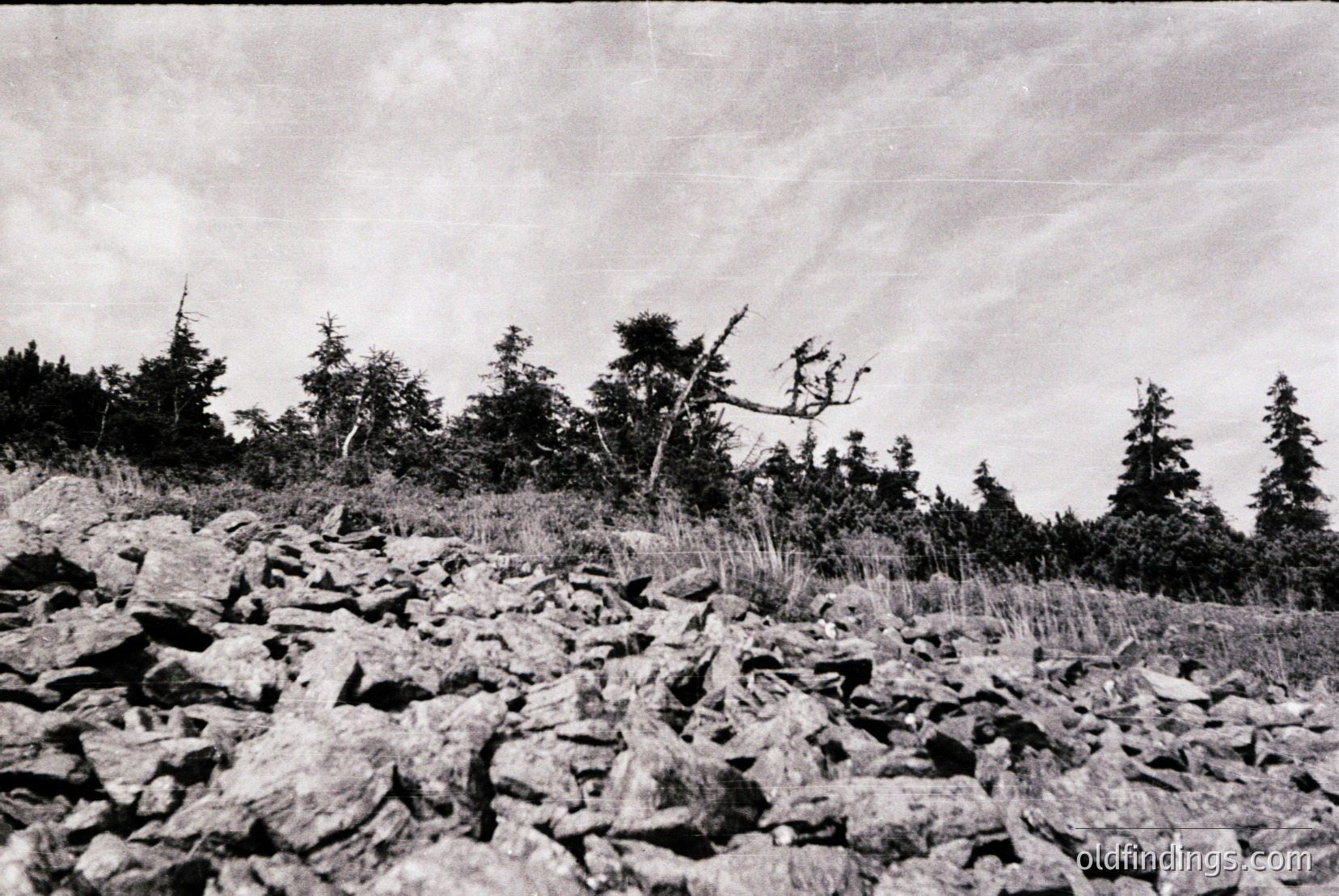 Vintage photograph