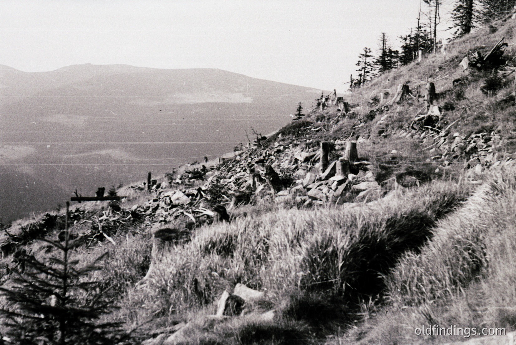 Vintage photograph