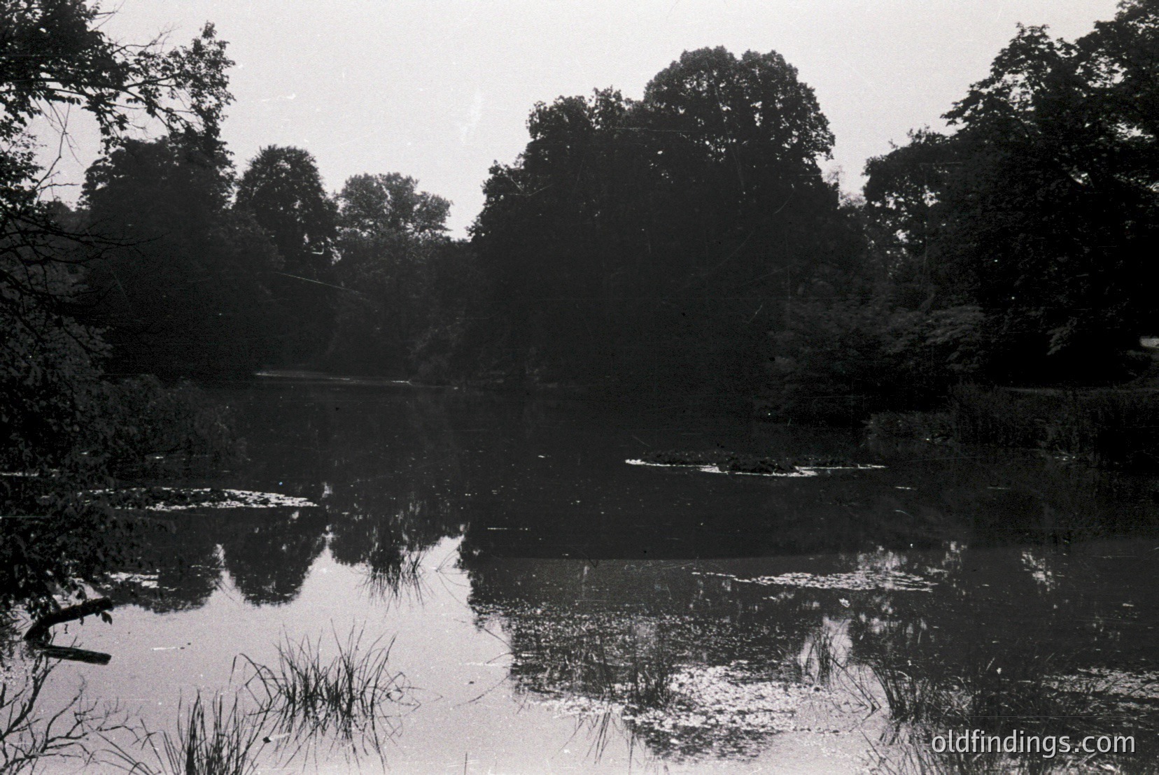 Vintage photograph