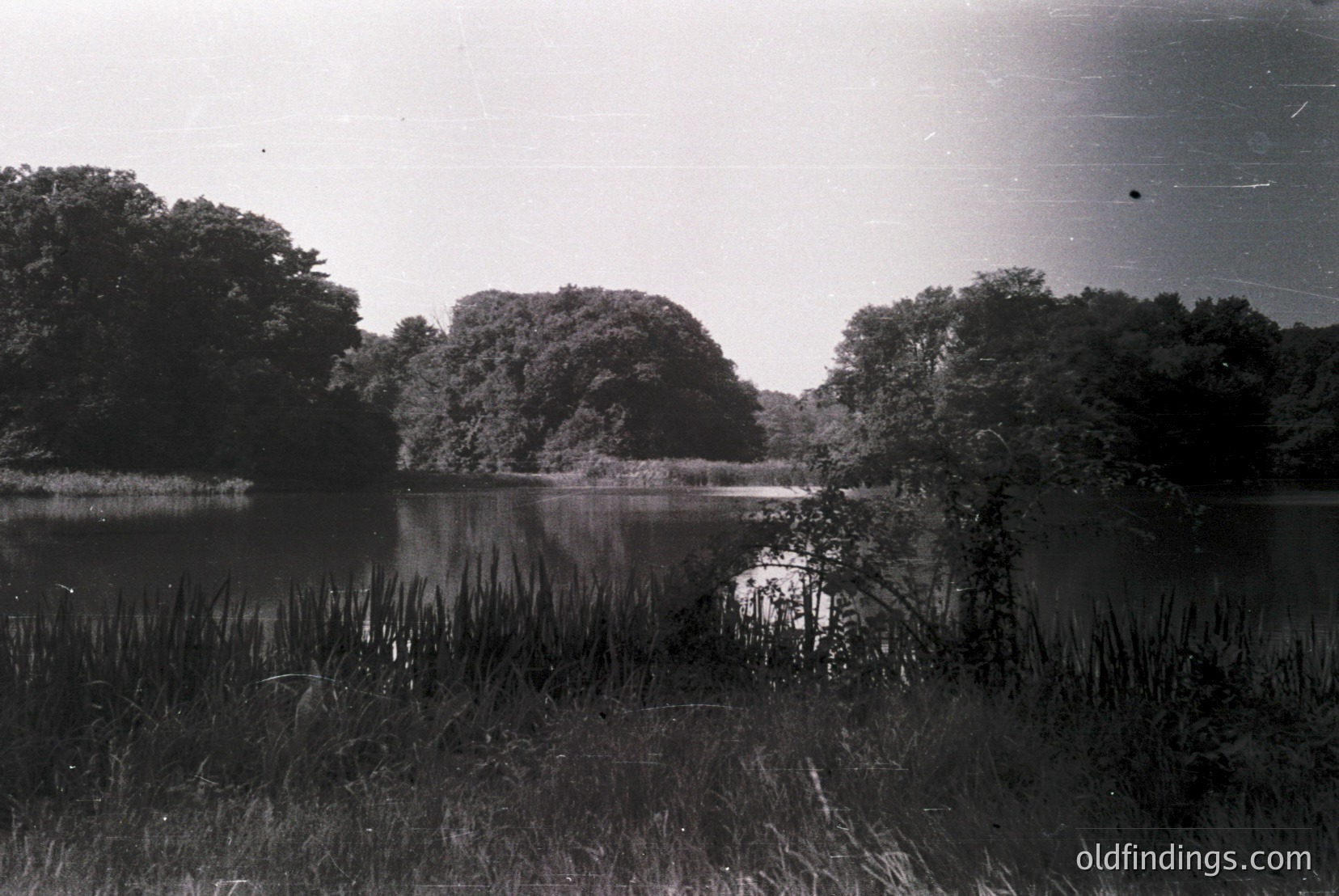 Vintage photograph