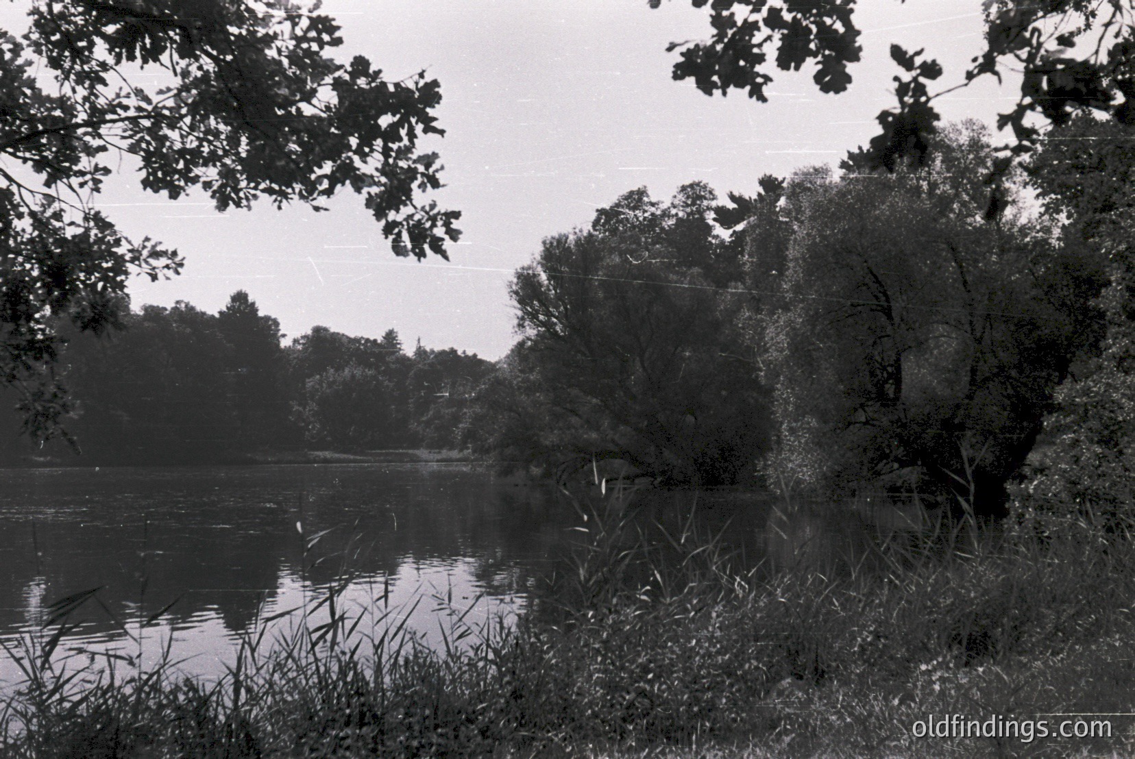 Vintage photograph