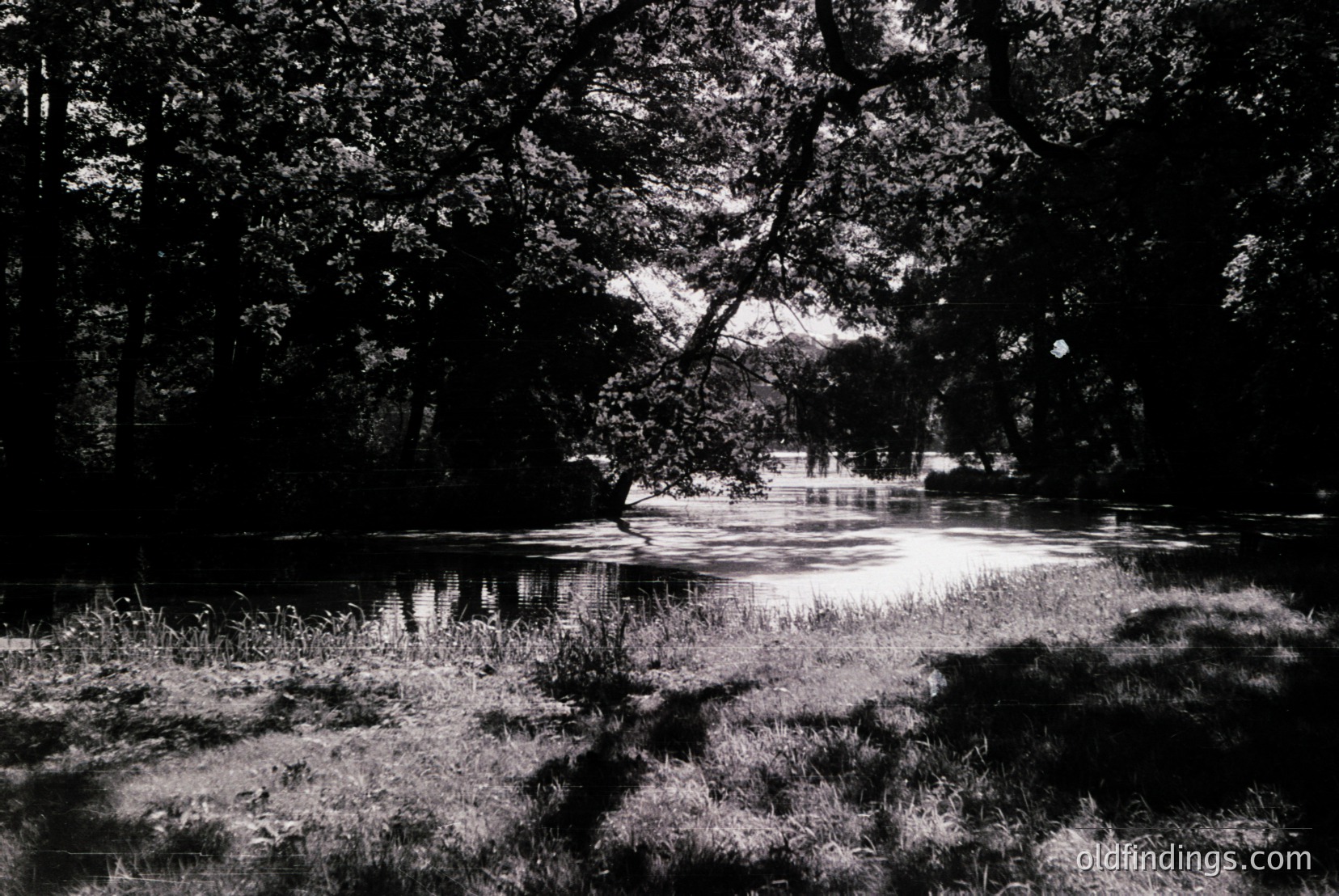Vintage photograph